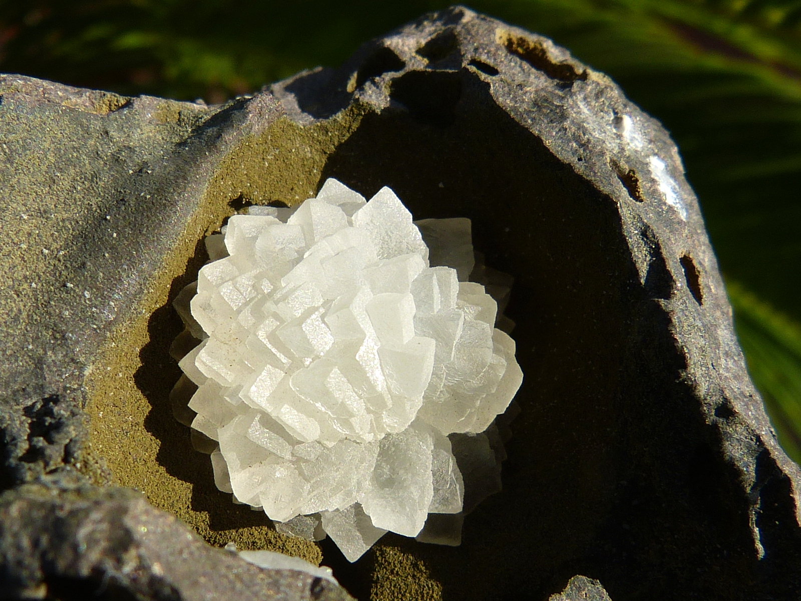 Calcita
9 x 7 cm
(Autor: nerofis2)