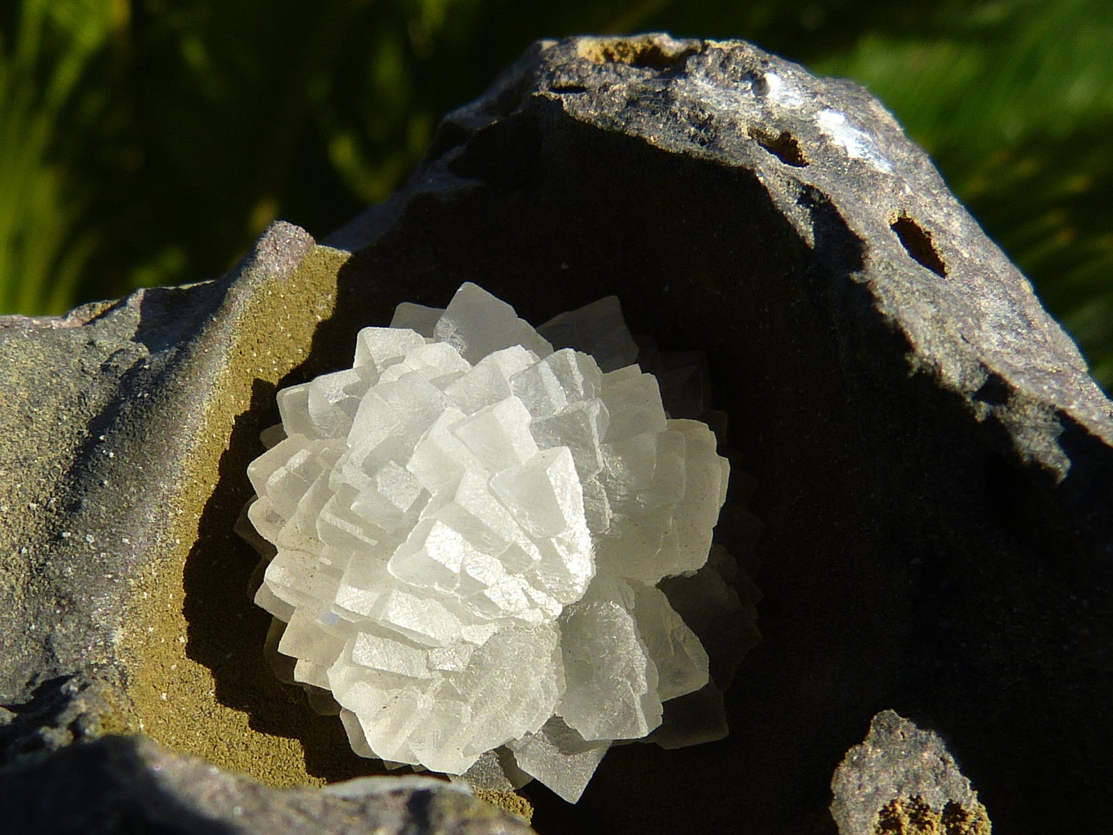 Calcita
9 x 7 cm
(Autor: nerofis2)