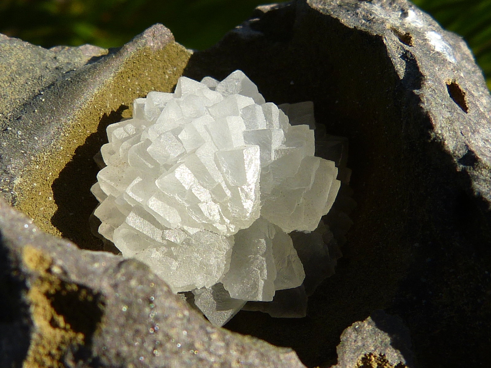 Calcita
9 x 7 cm
(Autor: nerofis2)