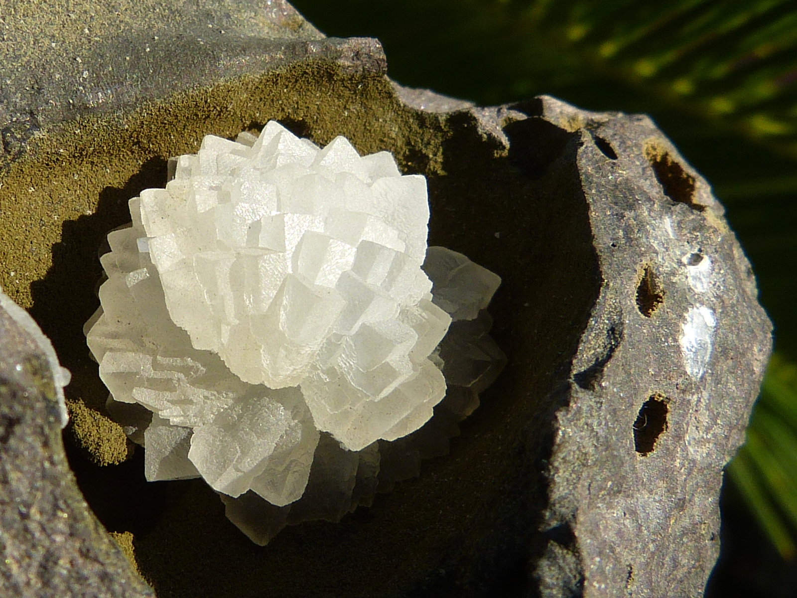 Calcita
9 x 7 cm
(Autor: nerofis2)