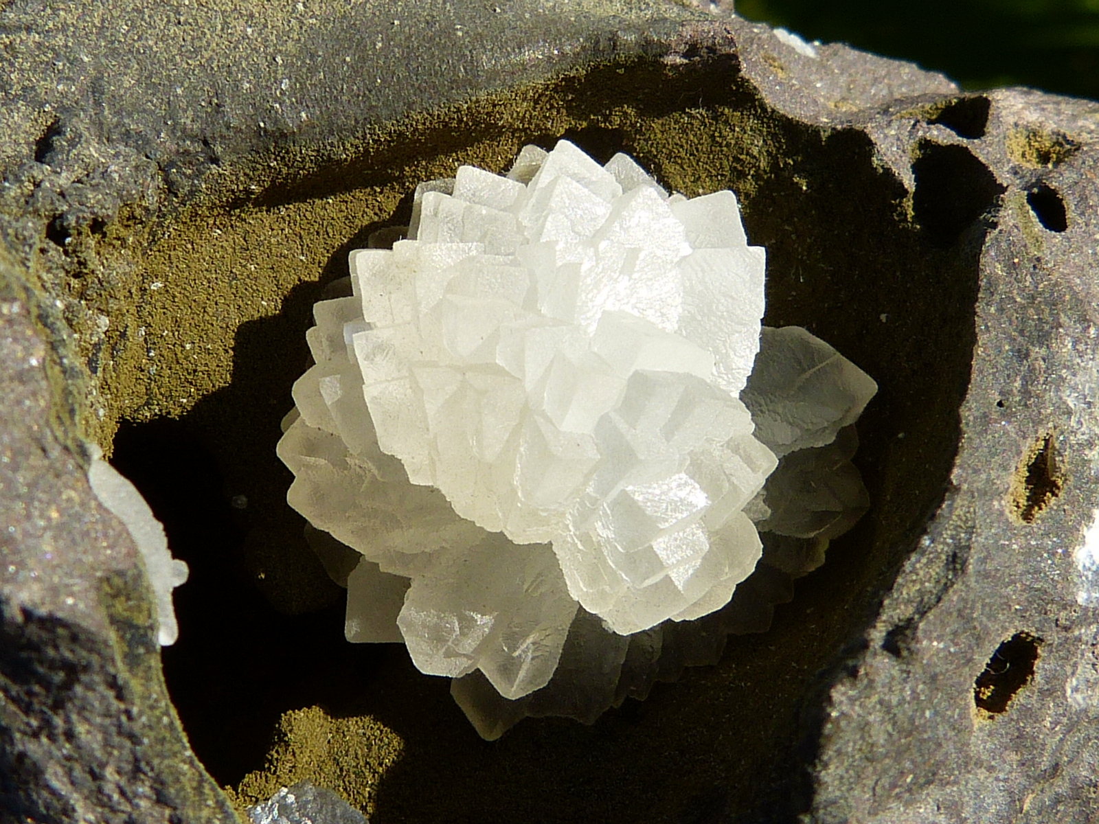 Calcita
9 x 7 cm
(Autor: nerofis2)