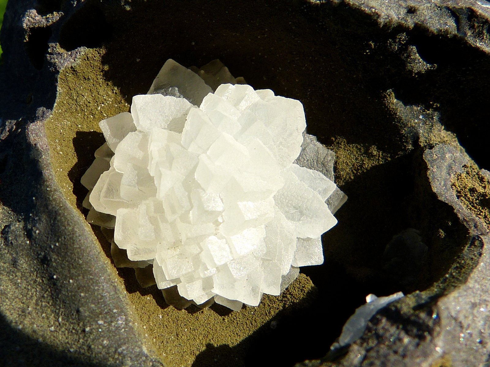 Calcita
9 x 7 cm
(Autor: nerofis2)