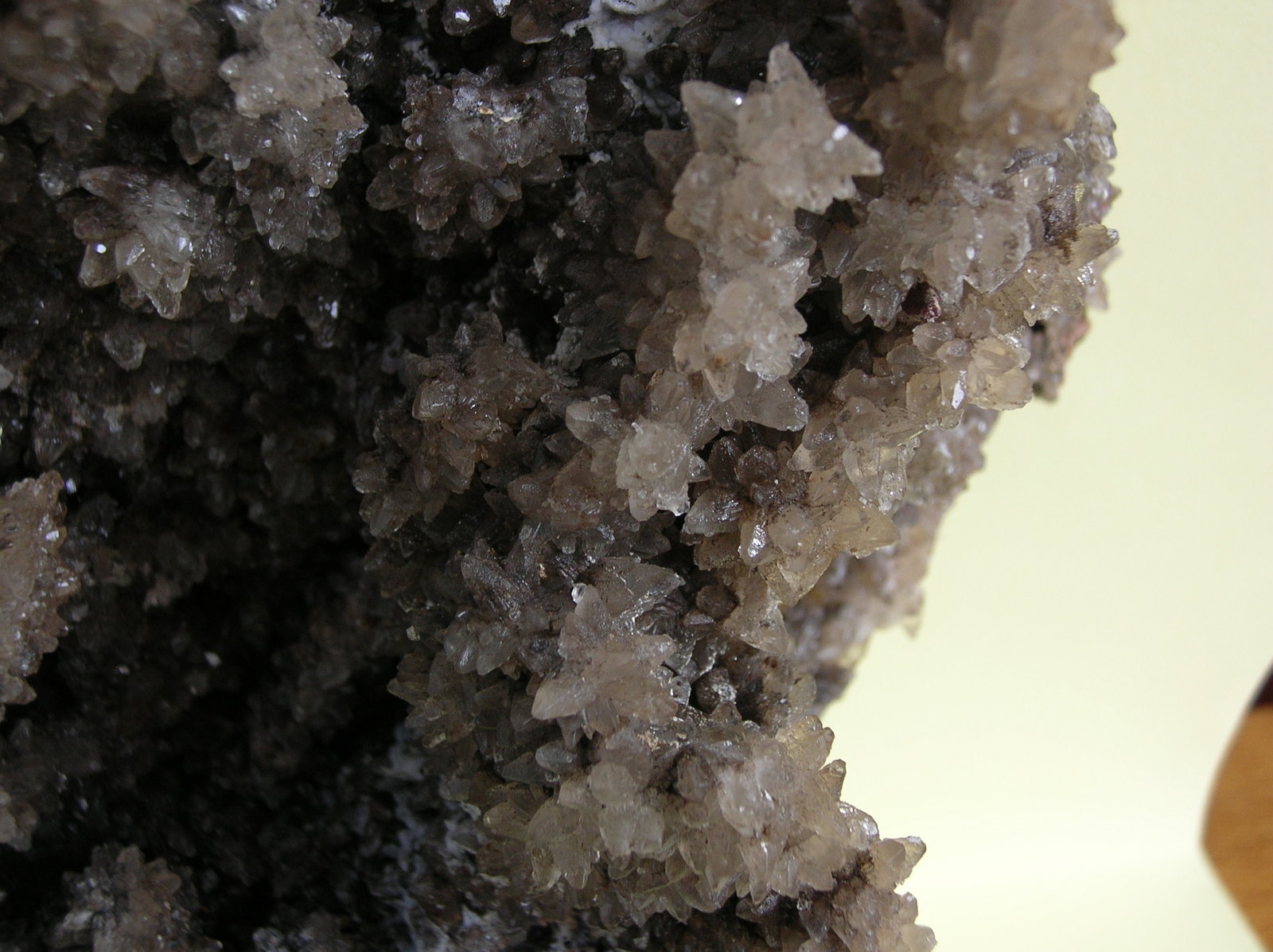 Calcita
24 x 19 cm
(Autor: Pedro Conesa)