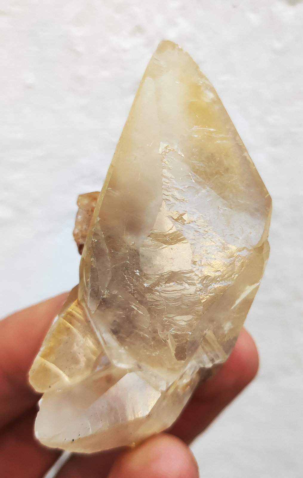 Calcita
6,5 x 3,7 x 3,0 cm.
(Autor: carles)