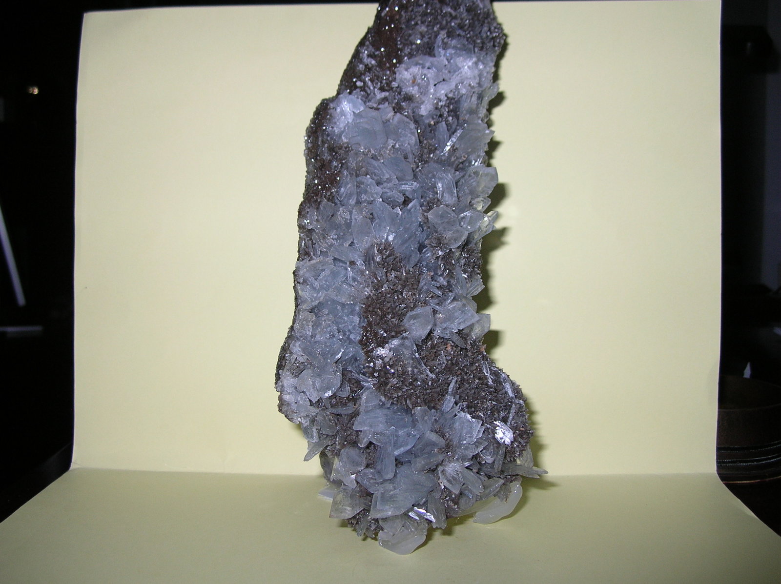 Celestina
26 x 10 cm
(Autor: Pedro Conesa)