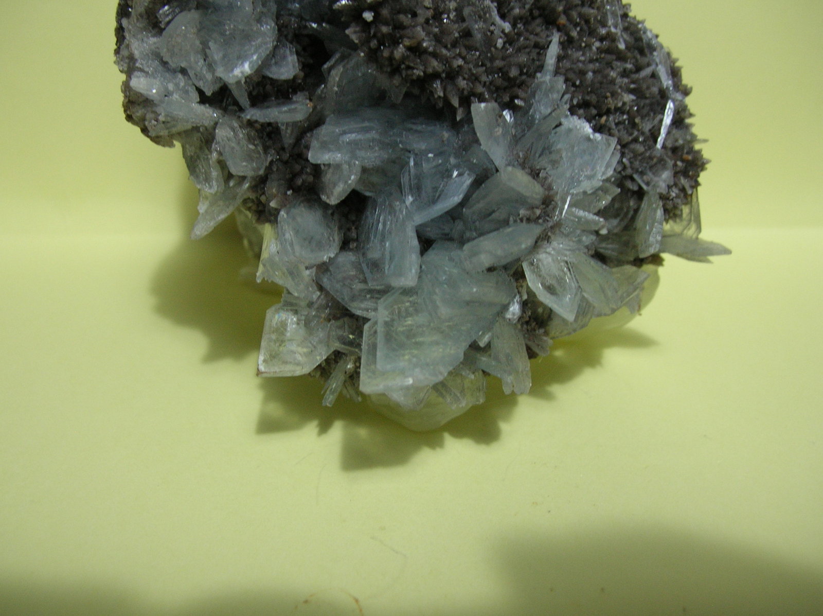 Celestina
26 x 10 cm
(Autor: Pedro Conesa)