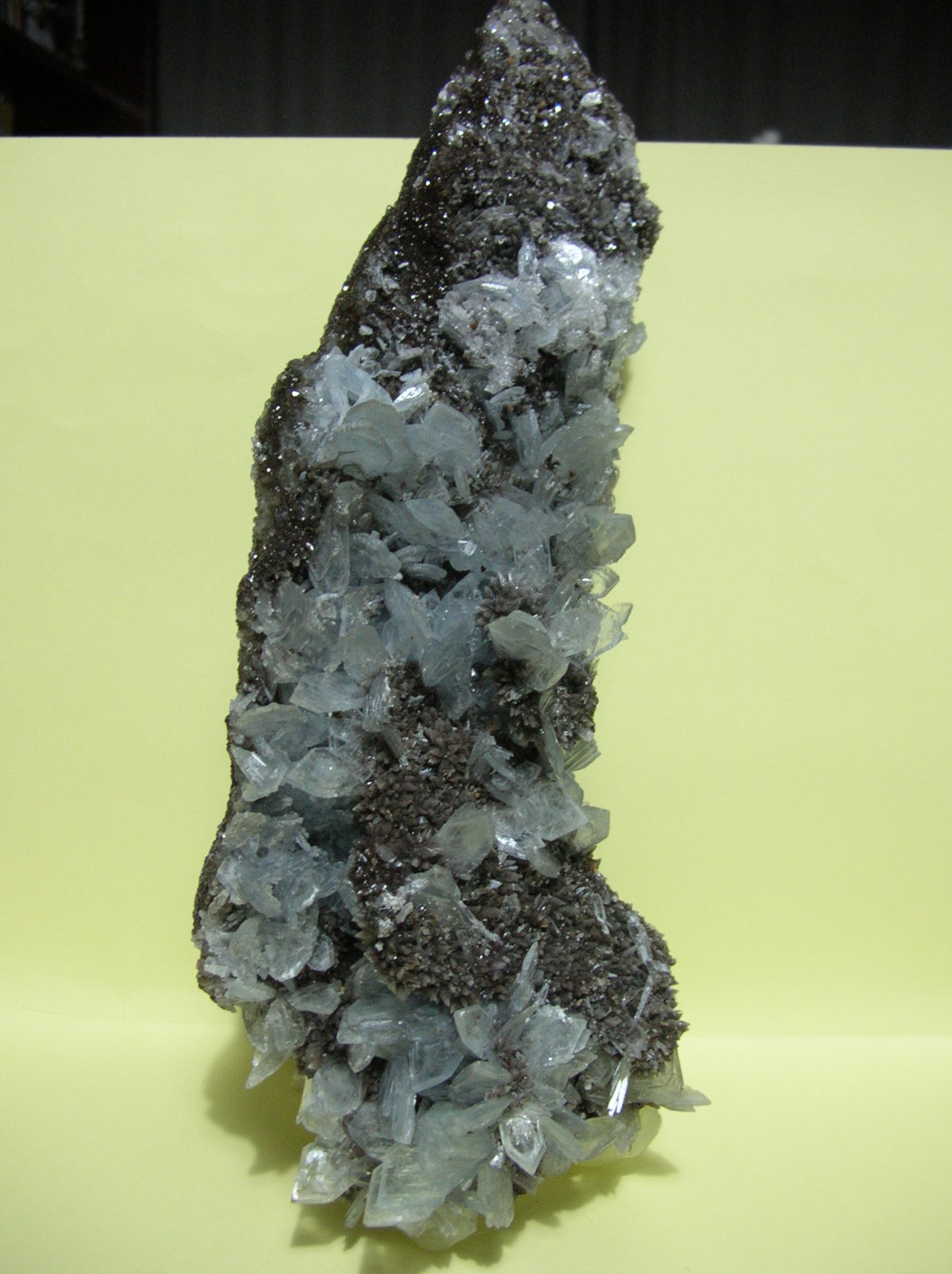 Celestina
26 x 10 cm
(Autor: Pedro Conesa)