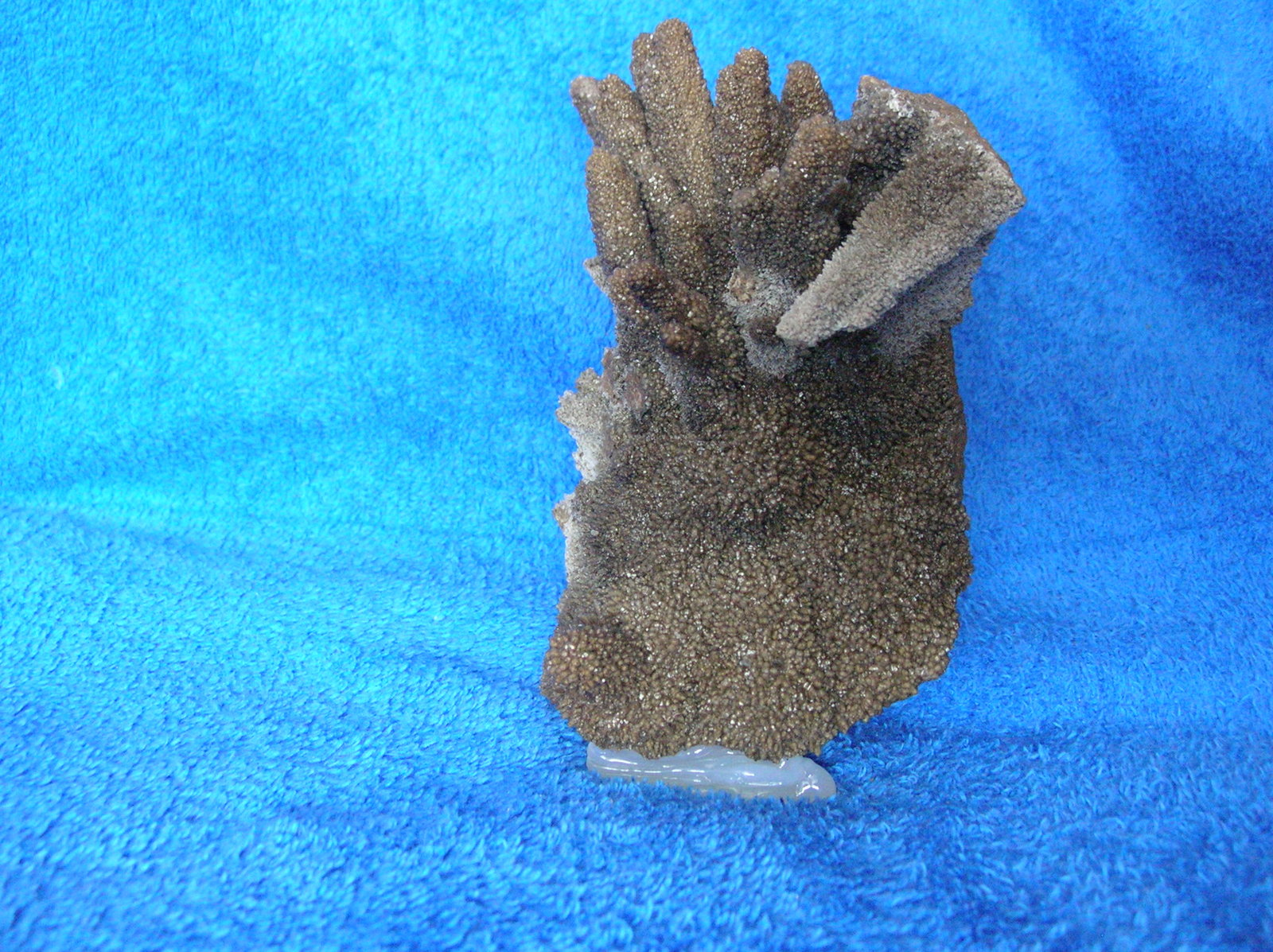 Calcita
14 x 10 cm
(Autor: Pedro Conesa)
