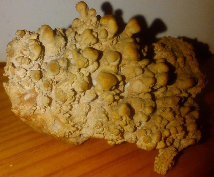 Calcita
7 x 3 cm
(Autor: José Luis M)