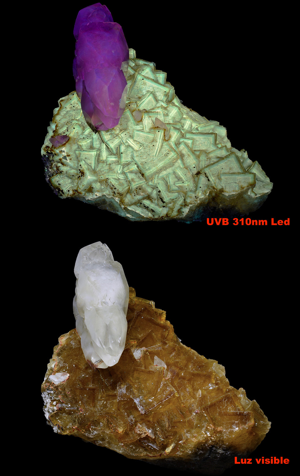 Calcita, Fluorita
14 x 11 cm
(Autor: UVmineral)