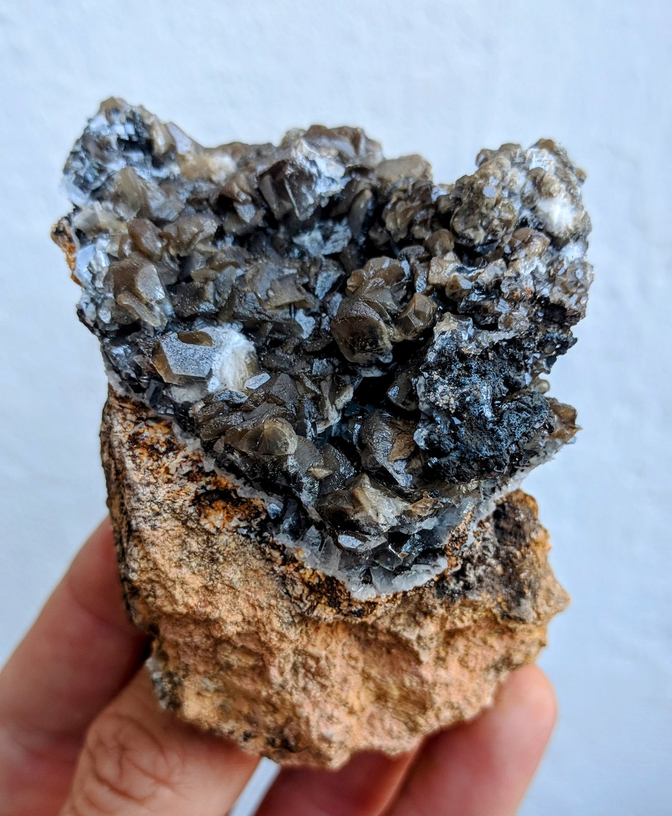 Calcita
8,3 x 5,5 cm
(Autor: carles)