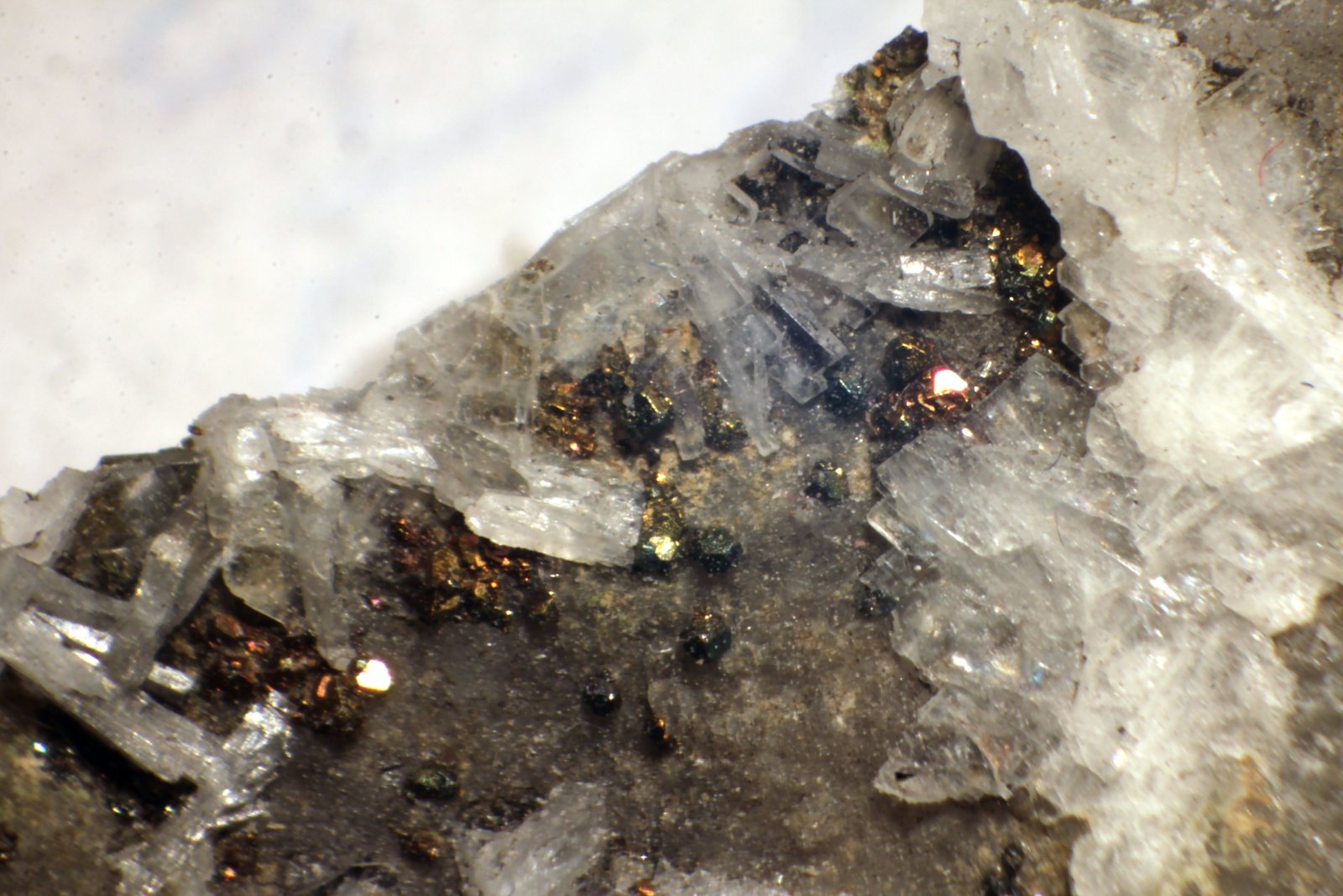 Pirita
Micros
(Autor: José Luis Zamora)