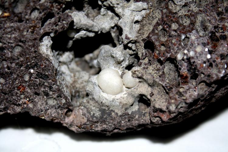 Calcita
2 cm
(Autor: canada)