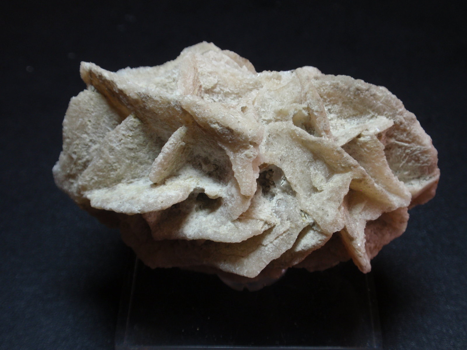 Calcita pseudo Yeso
70x40 mm
(Autor: Ignacio)