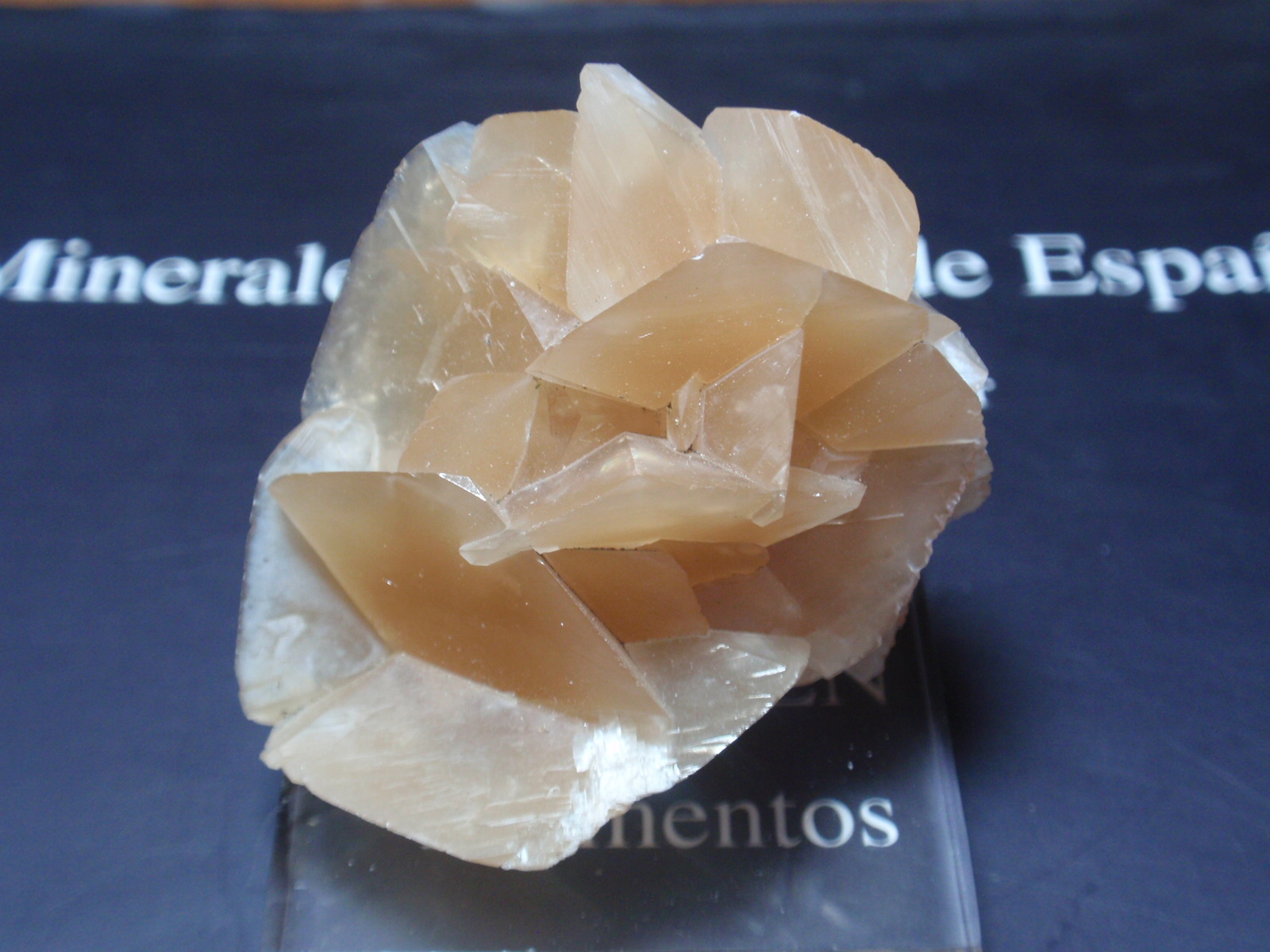 Calcita
45x45 mm
(Autor: Ignacio)