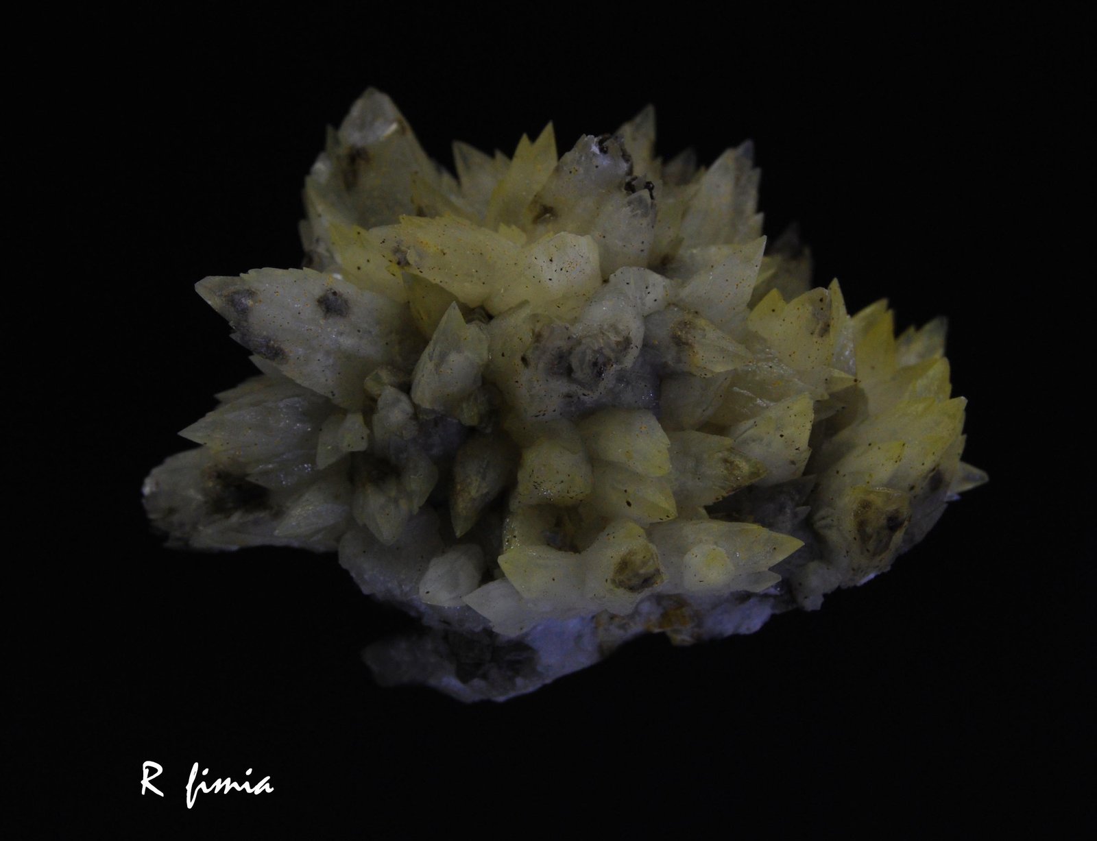 Calcita
4 x 3 cm
(Autor: Ricardo Fimia)