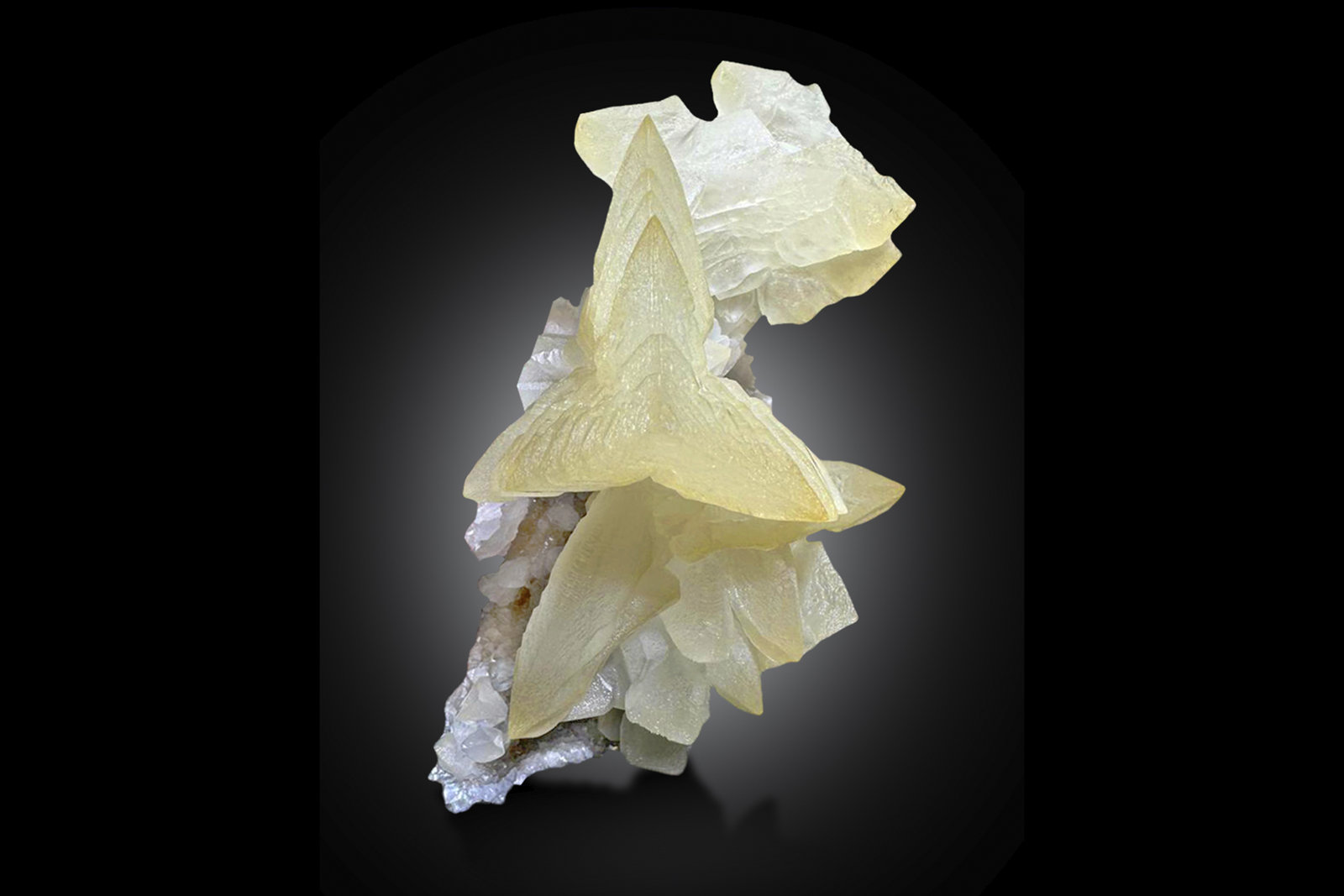 Calcita
20 x 11 x 16 cm / Cristal principal: 9.5 cm.
(Autor: Museo MIM)
