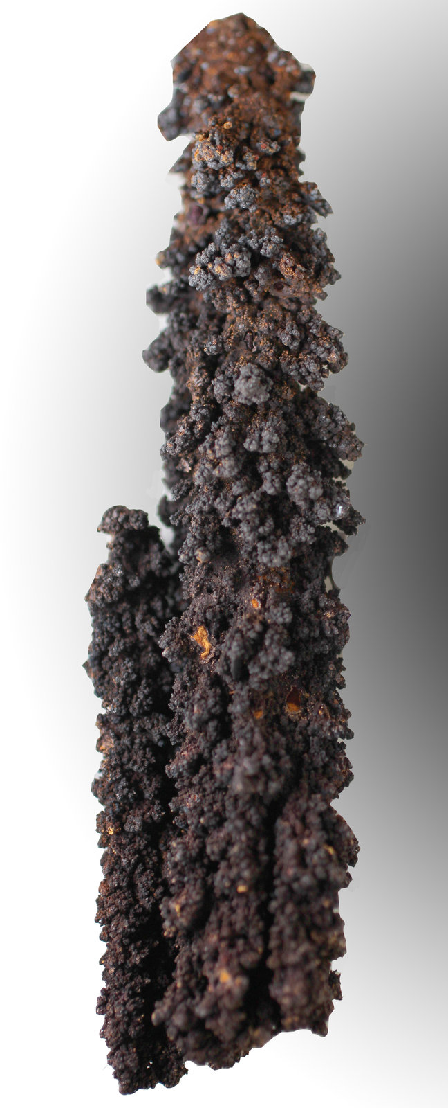 Calcofanita [Chalcophanite]
115 x 27 x 26 mm
(Autor: José Luis Zamora)