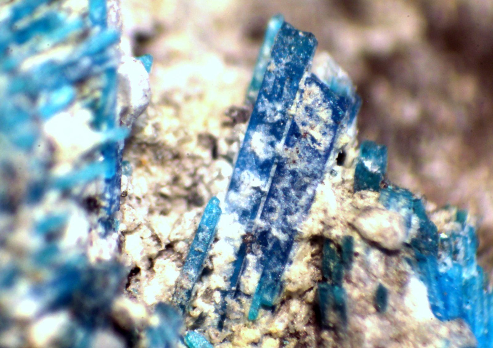 Calcomenita
1 mm
(Autor: José Luis Zamora)