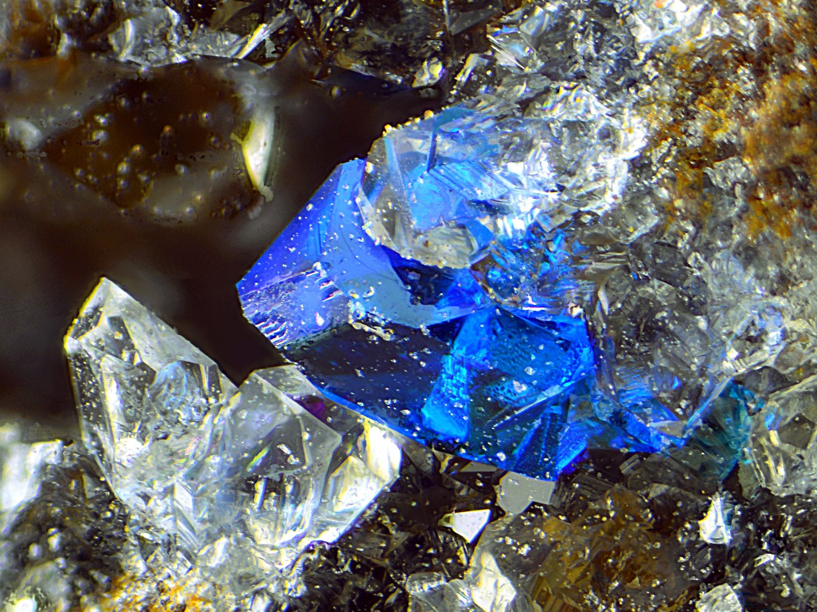 Calcomenita
Campo de visión de 1,5 mm
(Autor: Antonio Carmona)