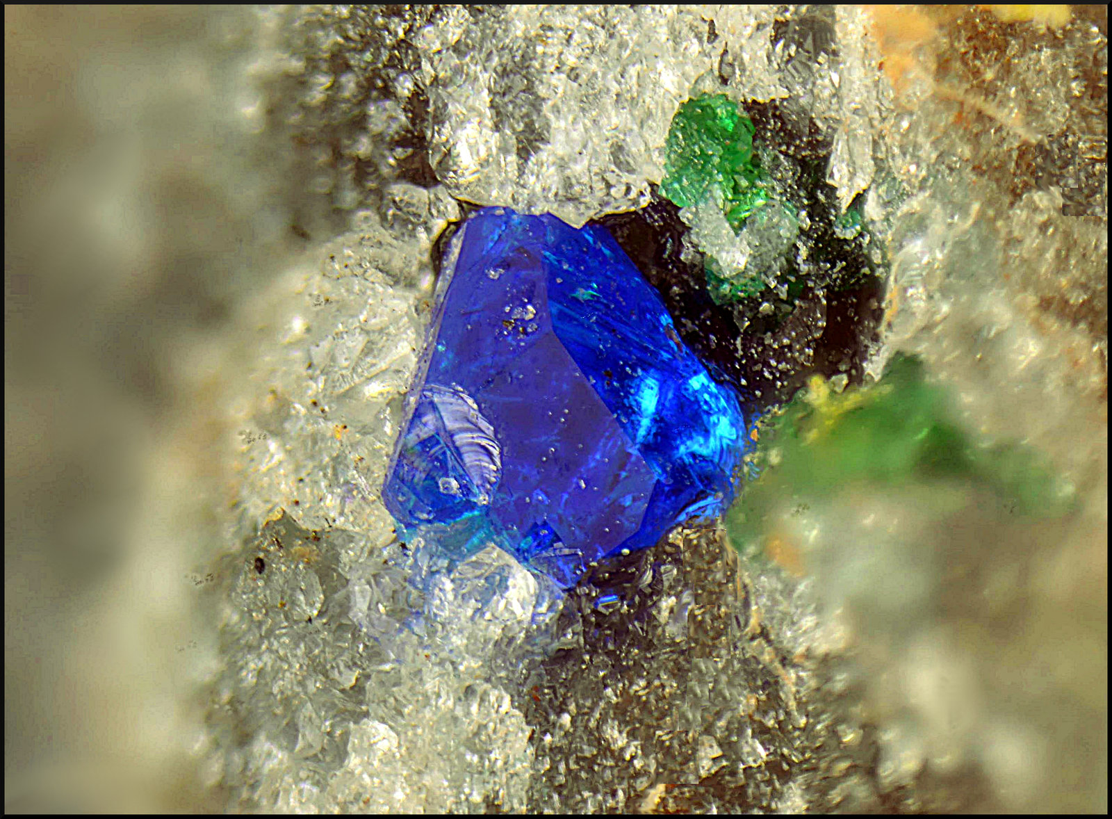 Calcomenita
Campo de visión de 3 mm.
(Autor: Antonio Carmona)