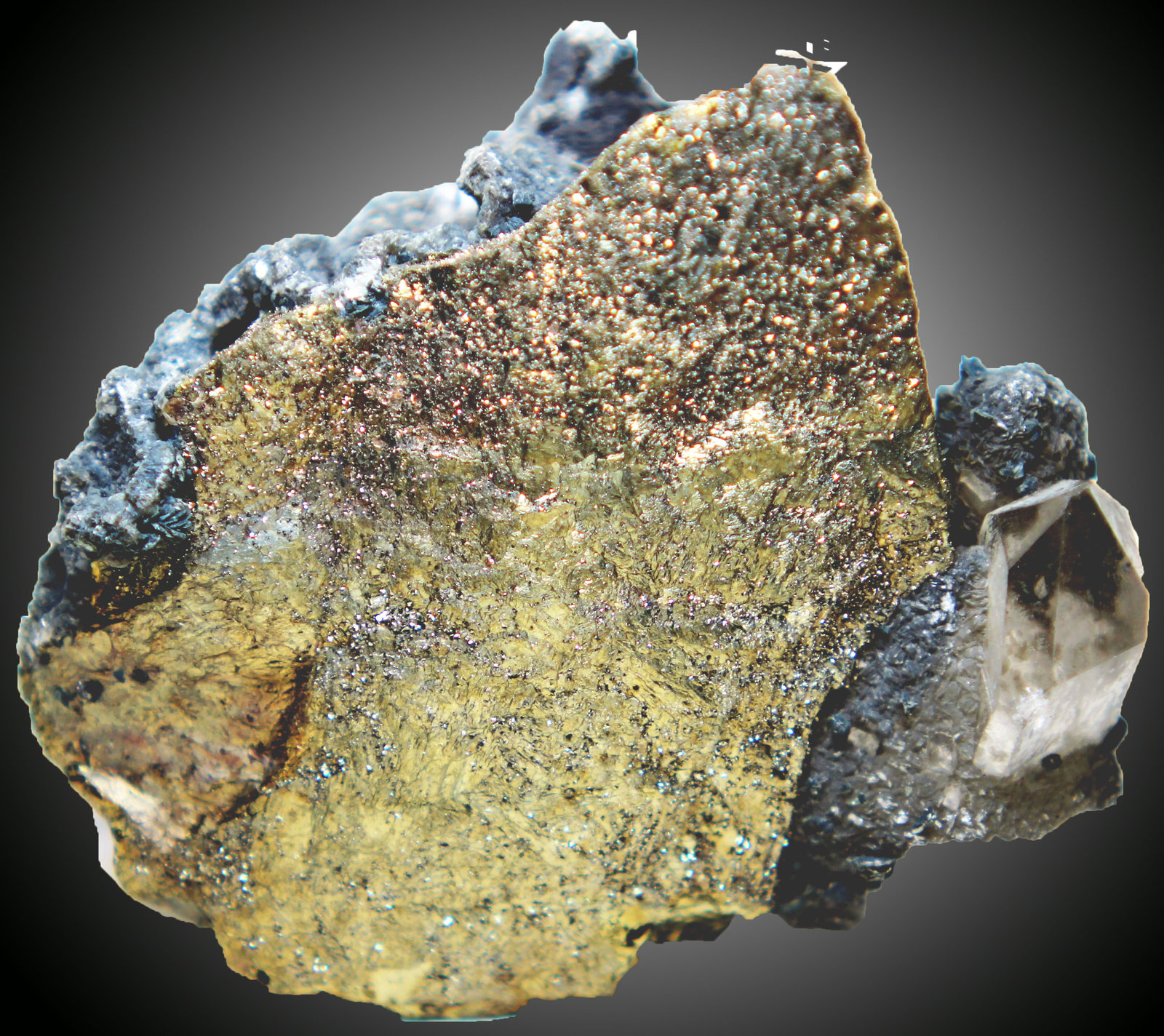 Calcopirita
58 x 56 x 30 mm.
(Autor: José Luis Zamora)