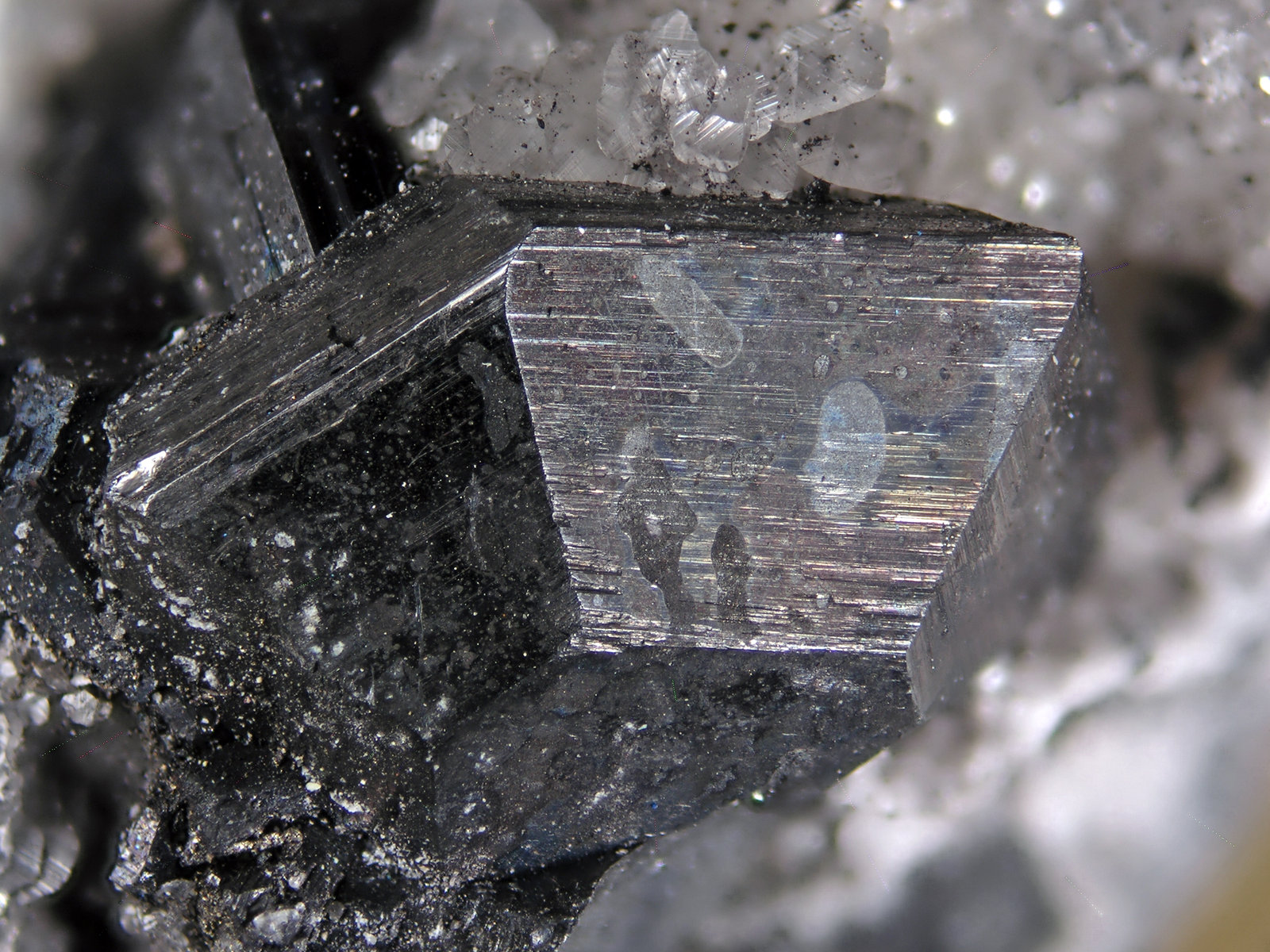 Calcosina
Cristal 1.5 cm
(Autor: Cesar M. Salvan)