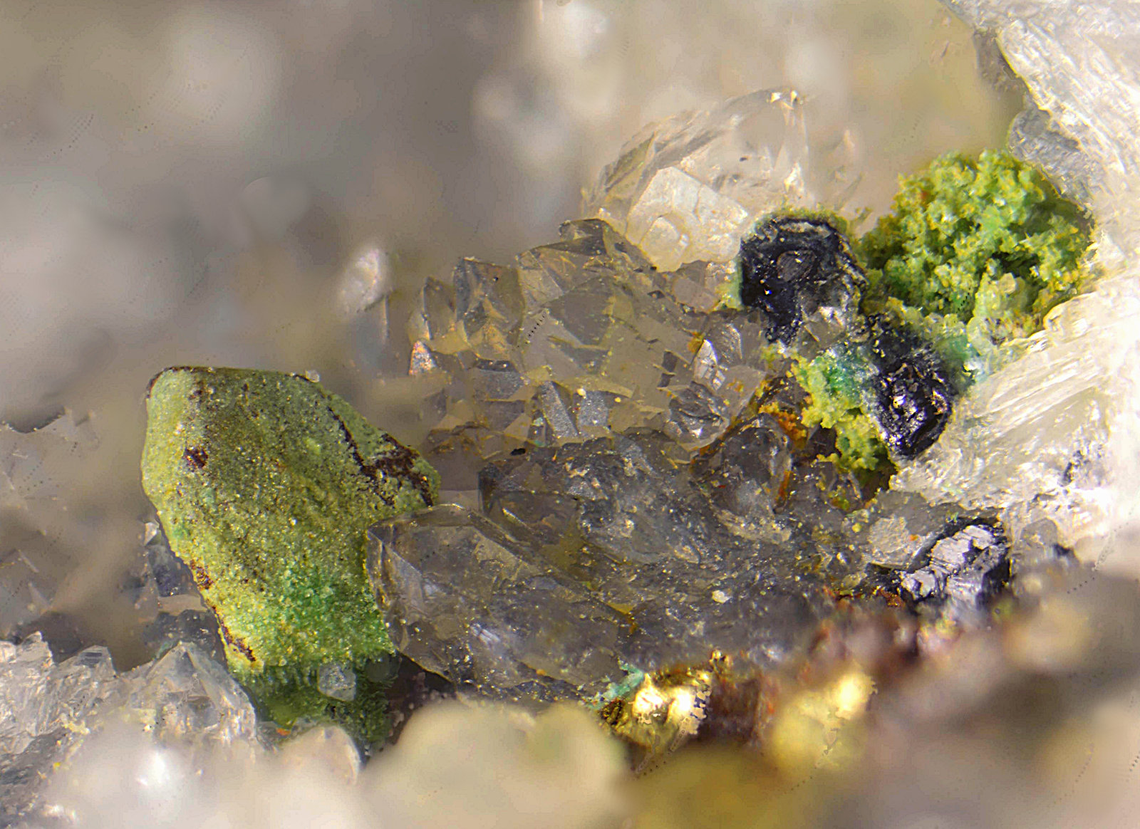Calcosina recubierta de Brochantita.
Campo de visión de 2 mm.
(Autor: Antonio Carmona)