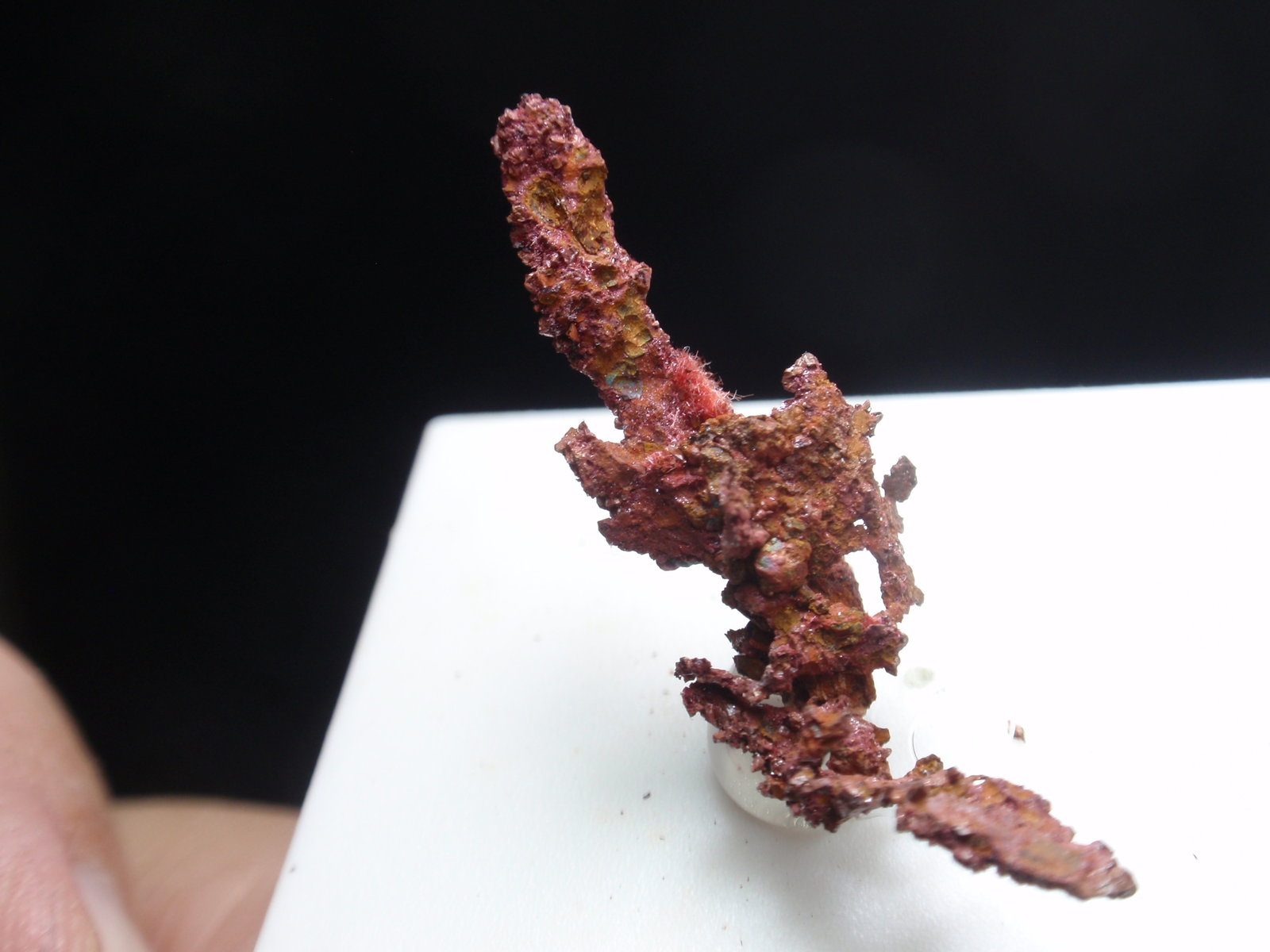 Cobre (variedad calcotriquita)
10x25 mm
(Autor: Ignacio)