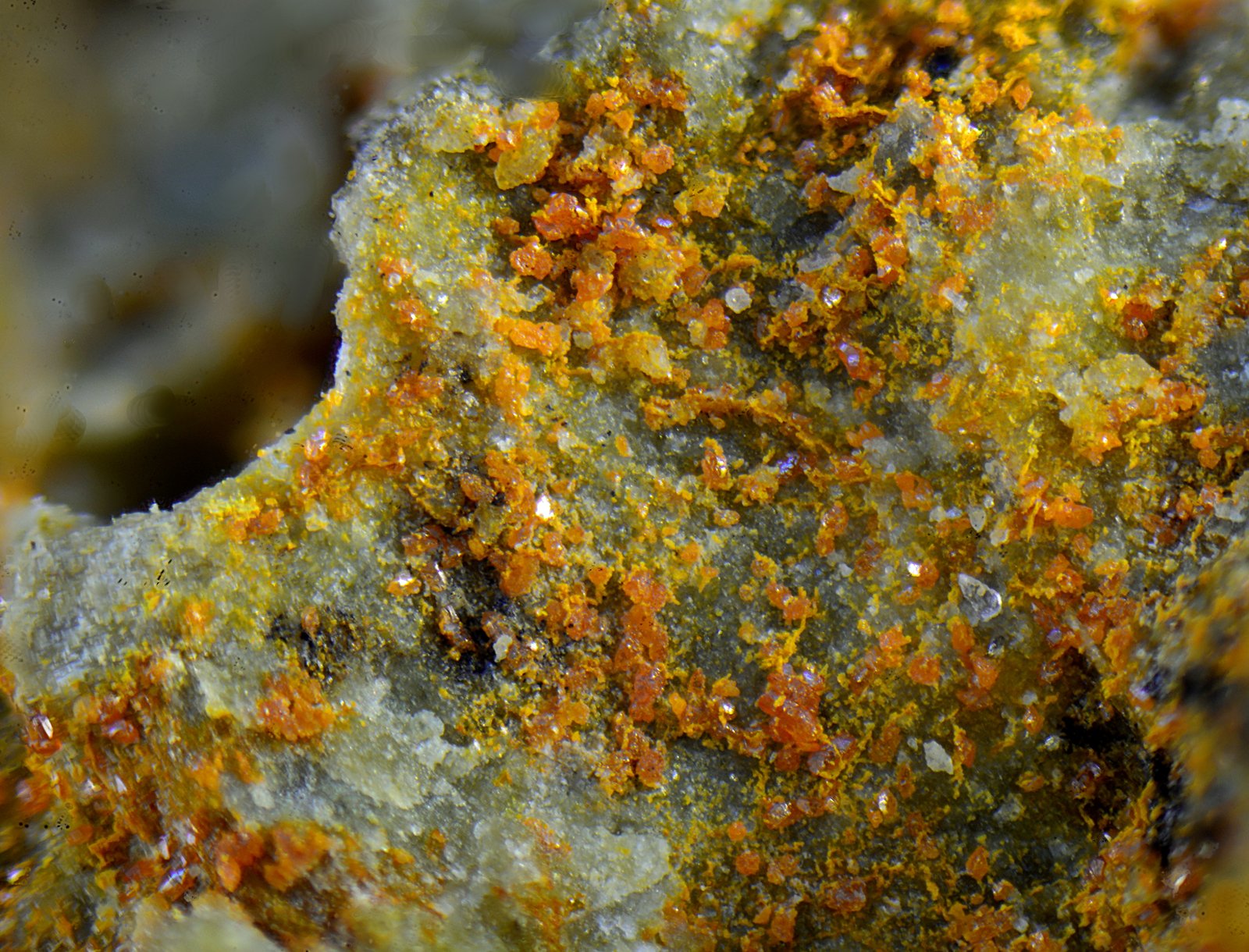 Calderonita
Campo de visión de 2 mm.
(Autor: Antonio Carmona)