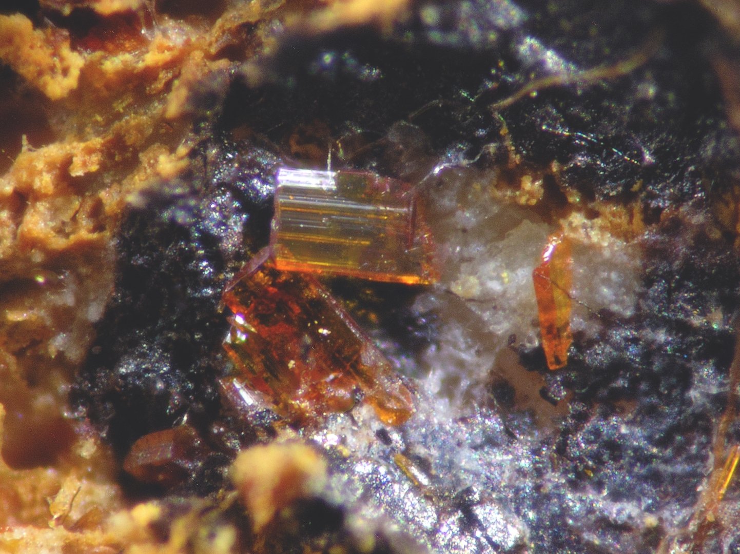Calderonita
cristal 1 mm
(Autor: Cesar M. Salvan)