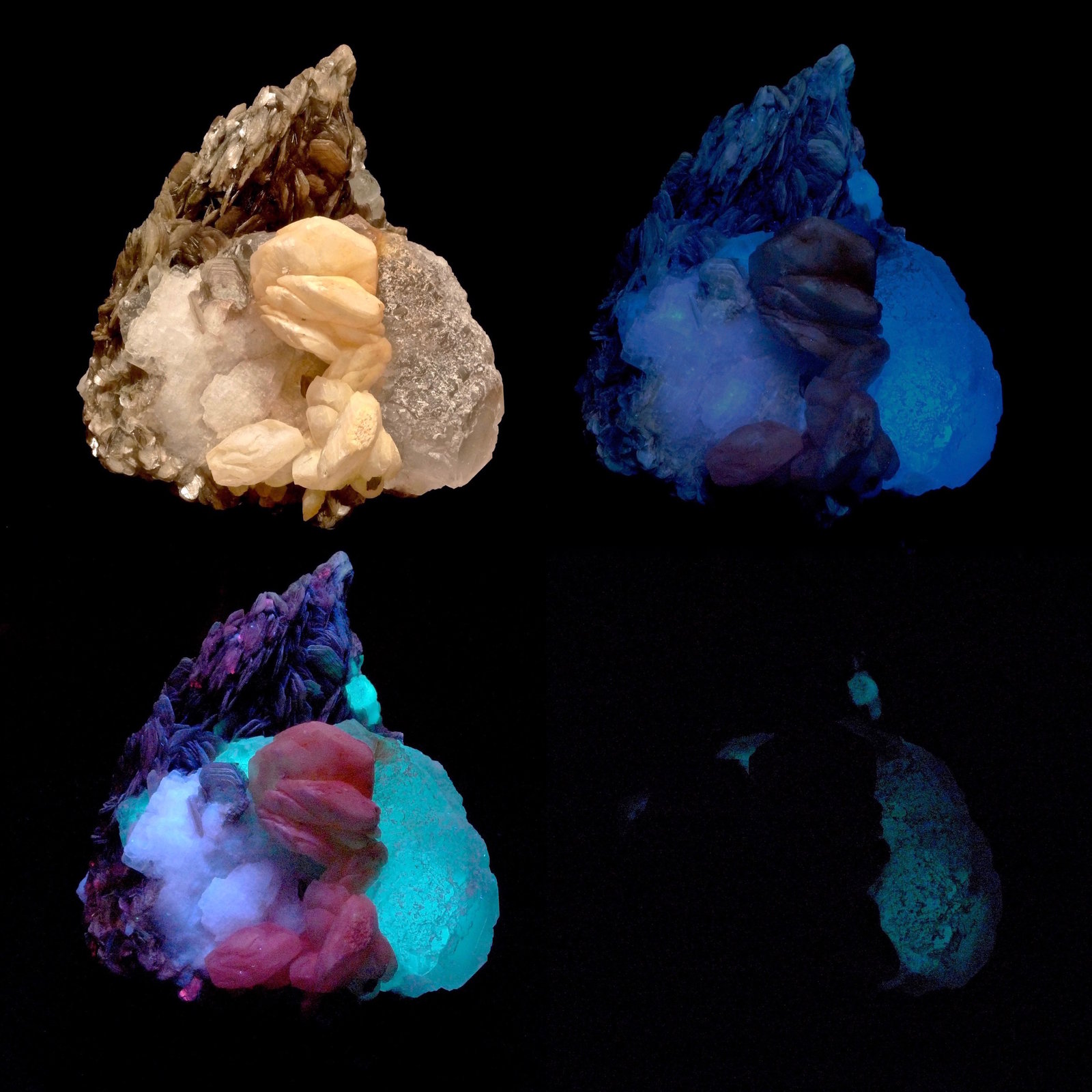 Fluorita
9 x 8 x 6 cm
(Autor: Josele)