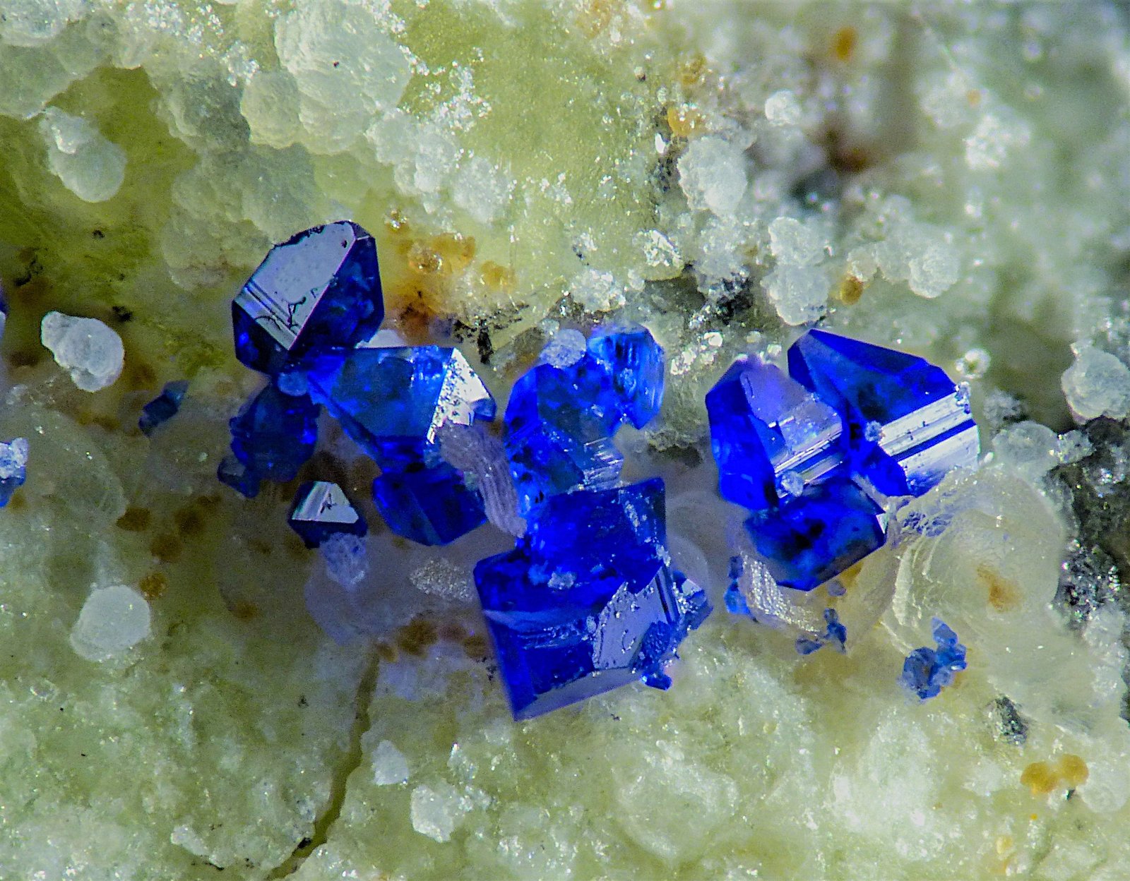 Callaghanita
1 mm
(Autor: Borja Sainz de Baranda)