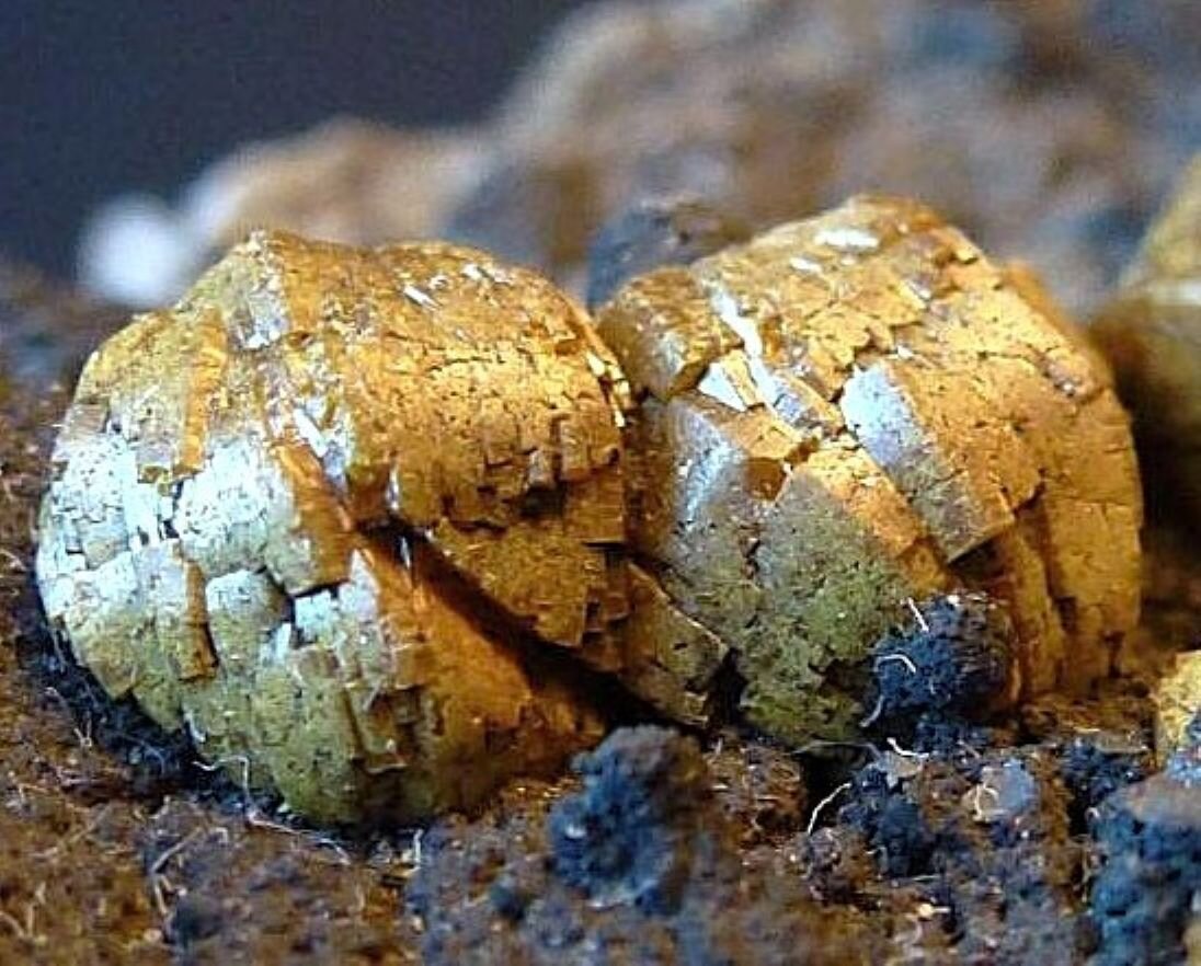 Mimetita (variedad campilita)
7 x 6 cm,
(Autor: javier ruiz martin)