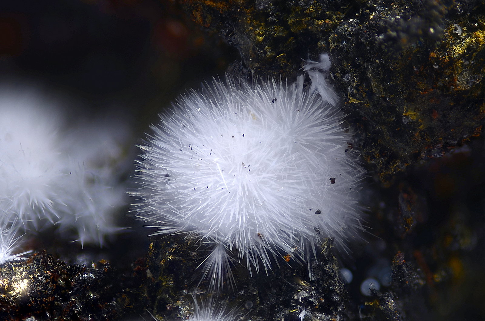 Canavesita
Campo de visión 2,8 mm
(Autor: Juan Miguel)