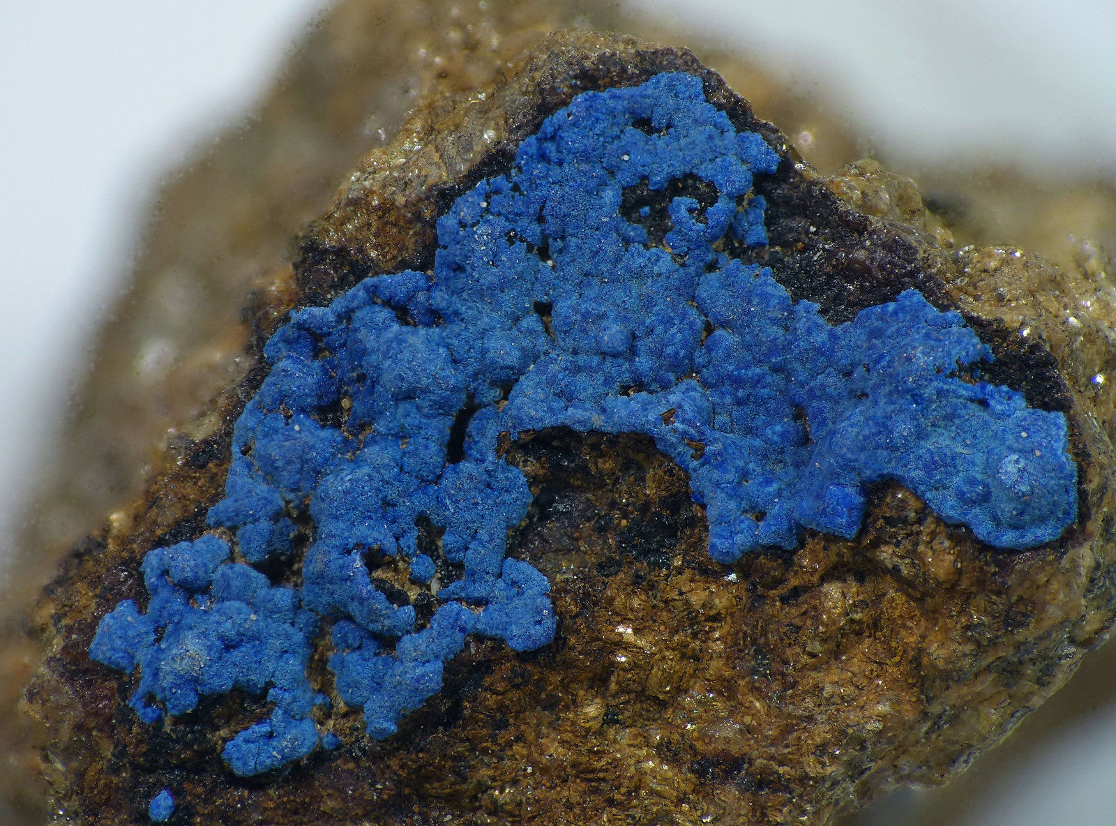 Azurita
c.v. 1 x 1 cm
(Autor: Javier Rodriguez)