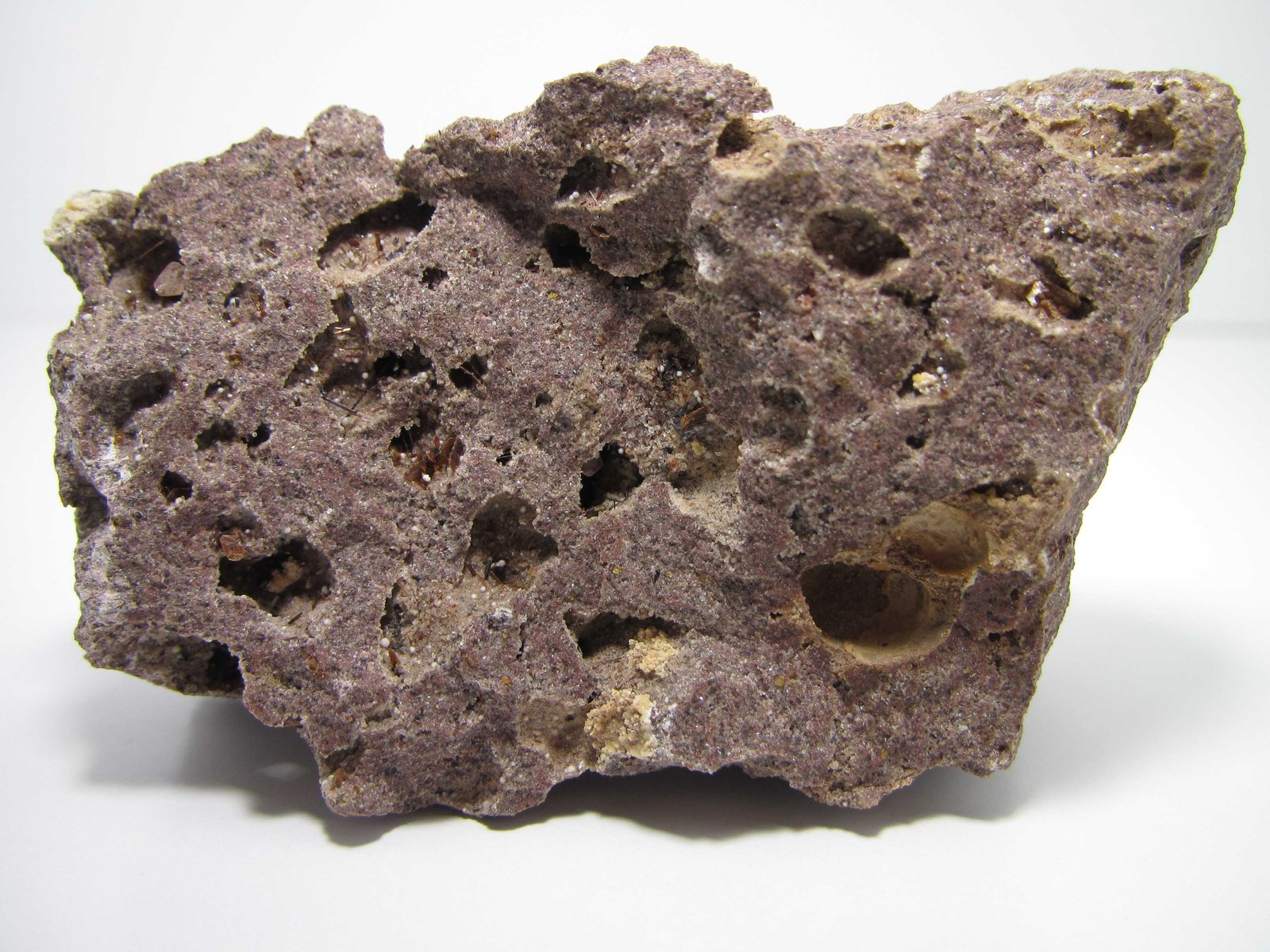 Lamproita
7 x 4 cm.
(Autor: prcantos)