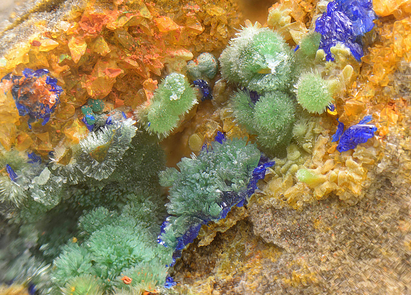 Zincolivenita y Azurita
Campo de visión de 5 mm.
(Autor: Antonio Carmona)