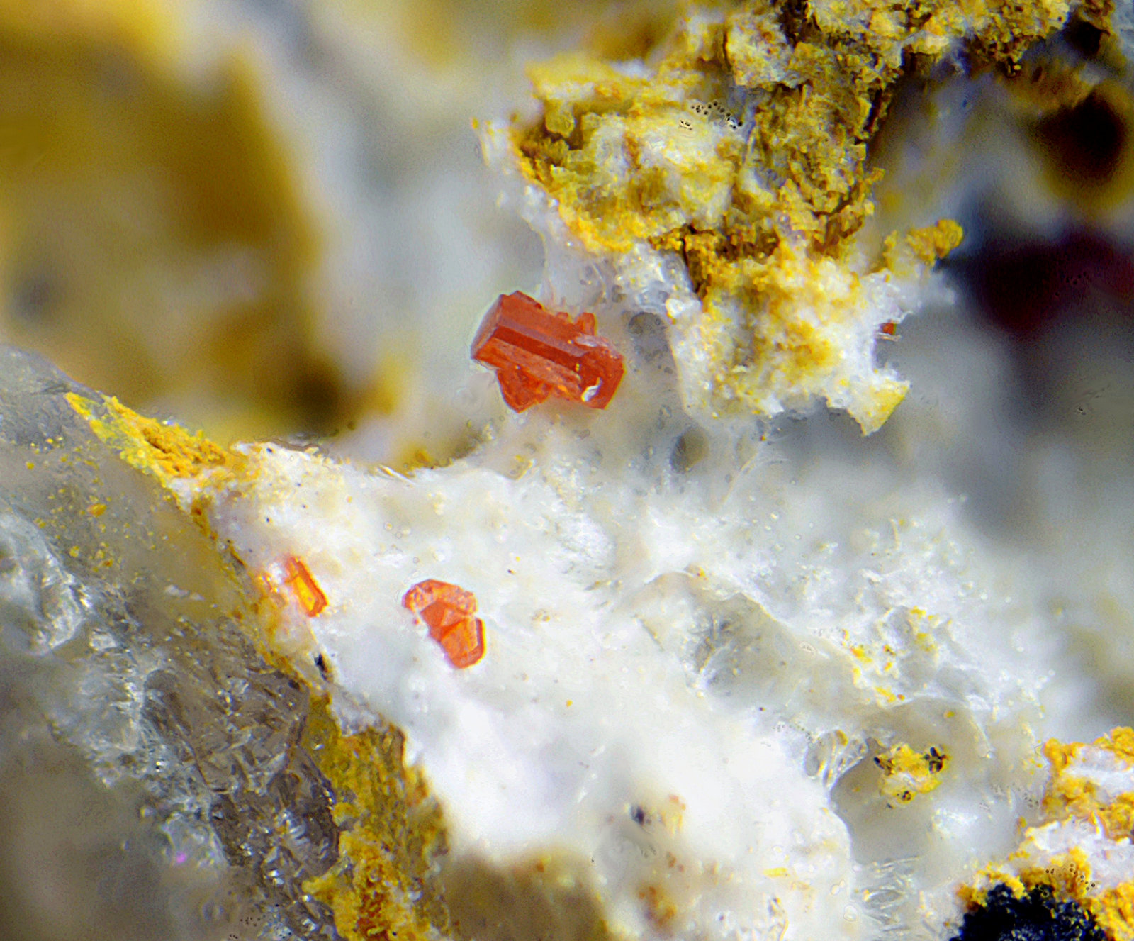 Calderonita
Campo de visión de 1,5 mm.
(Autor: Antonio Carmona)