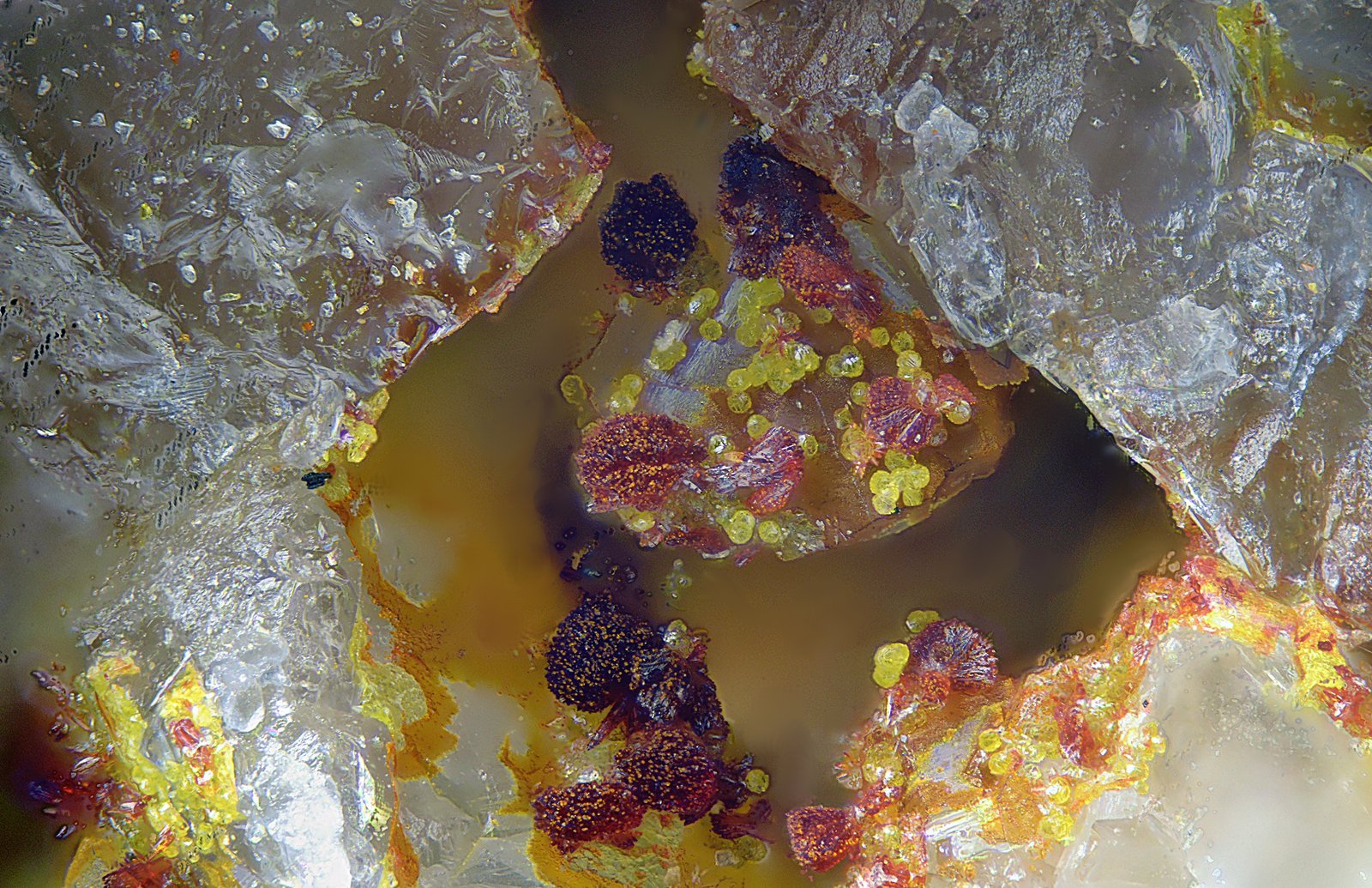 Carminita y segnitita.
Campo de visión de 0,8 mm.
(Autor: Antonio Carmona)