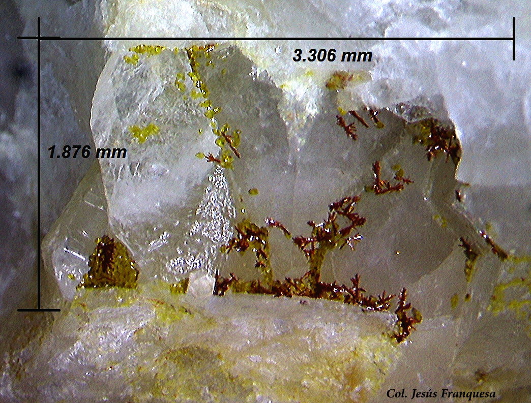 Carminita y Beudantita
3´30 x 1´87 mm.
(Autor: Jesus Franquesa Baucells)