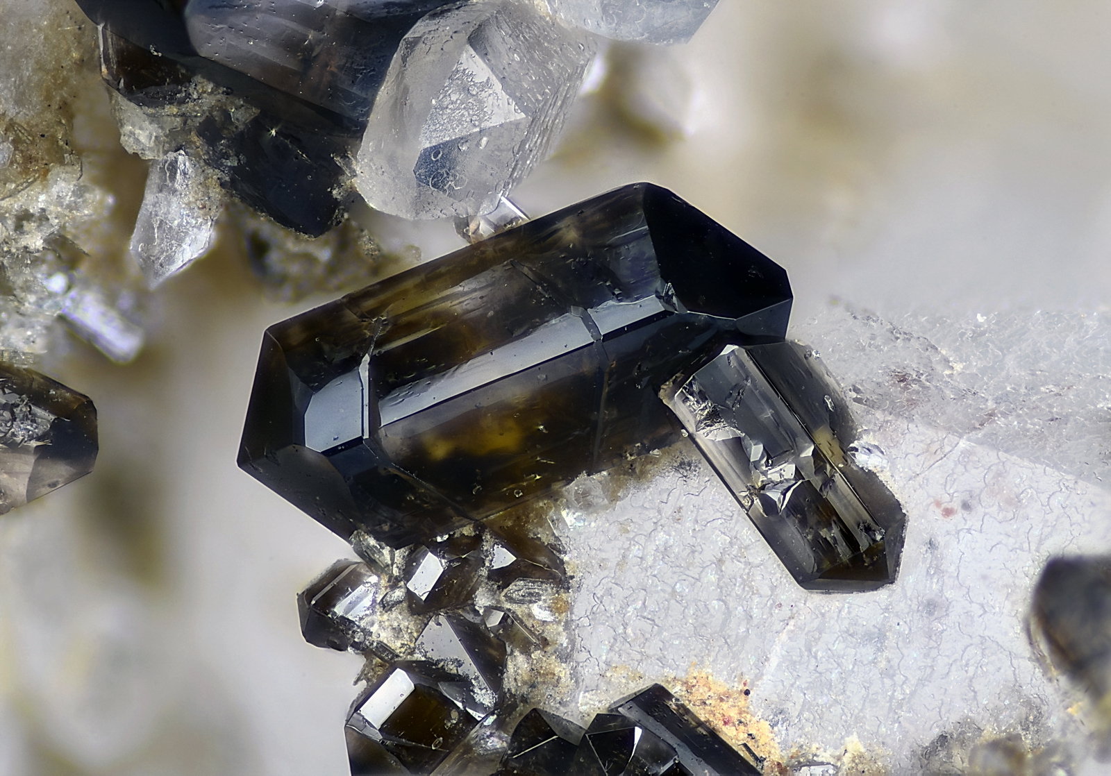 Casiterita
Campo de visión 1,9 mm.
(Autor: Juan Miguel)
