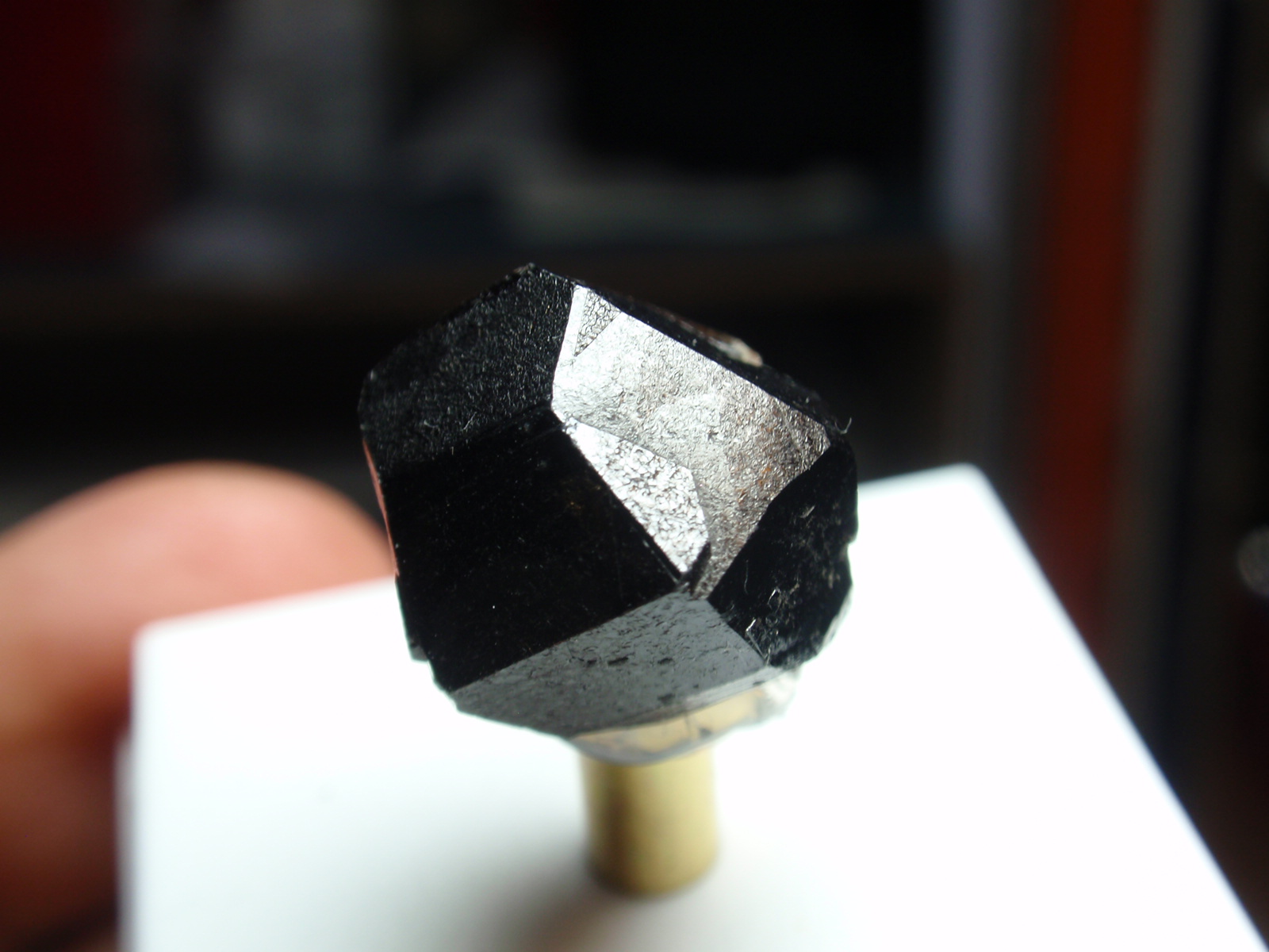 Casiterita
15x20 mm
(Autor: Ignacio)