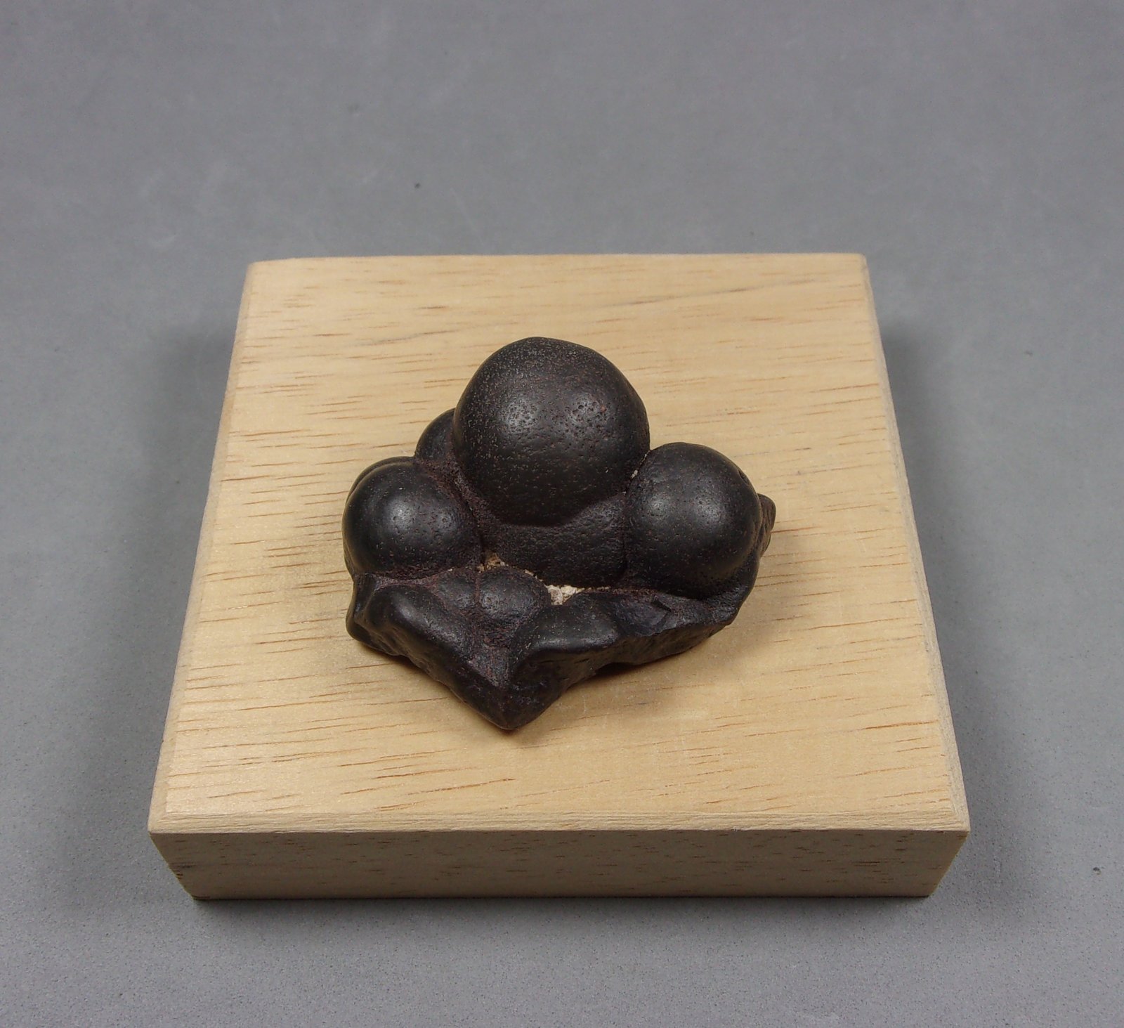 Casiterita (variedad estaño xiloide, wood tin)
3,7 x 3 x 1,8 cm.  46,70 g.
(Autor: J. G. Alcolea)