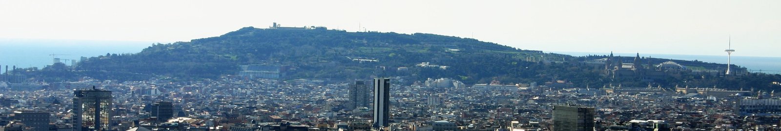 _Goethita
(Autor: Carles Millan)