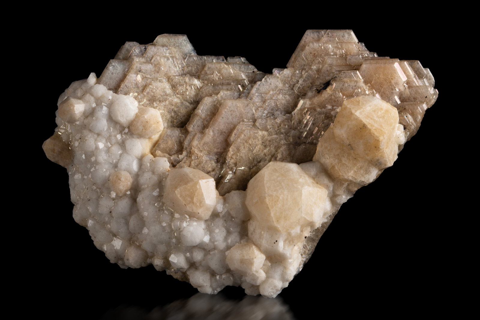 Catapleiíta con Analcima
9.5 x 3 x 6.5 cm / Cristal principal: 2.1 cm
(Autor: Museo MIM)