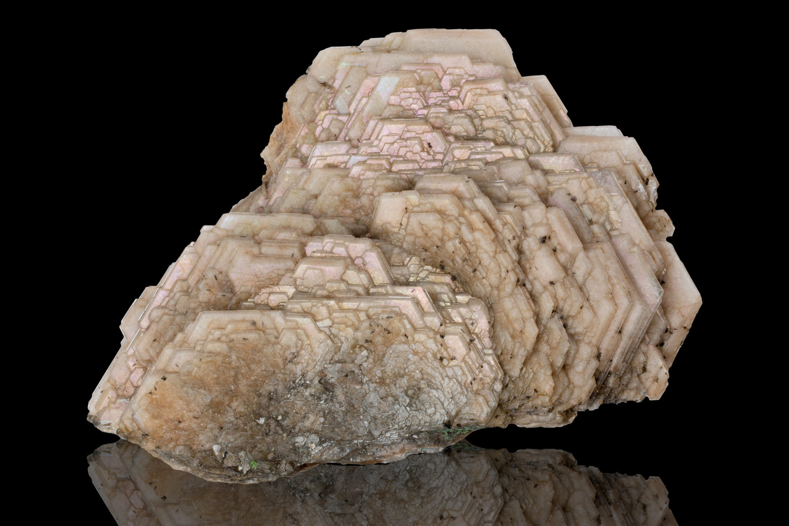 Catapleiíta
12 x 5 x 8 cm / Cristal principal: 2.5 cm
(Autor: Museo MIM)
