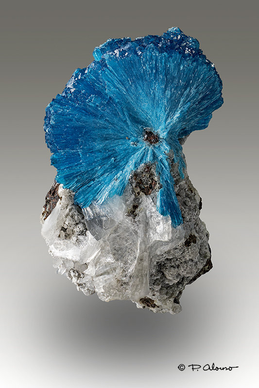 Cavansita
4cm x 2cm x 2cm
(Autor: Pere Alonso)