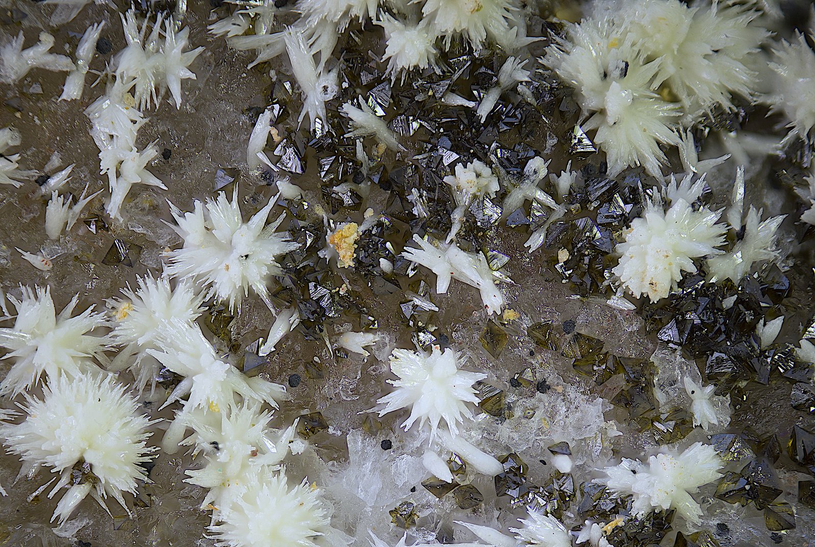 Piromorfita y mottramita
Campo de visión de  3 mm.
(Autor: Antonio Carmona)