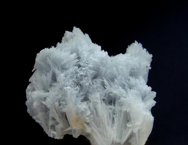 Celestina
Pieza: 4,7x4 cm. Cristales: 1,7 cm .de largos.
(Autor: DAni)